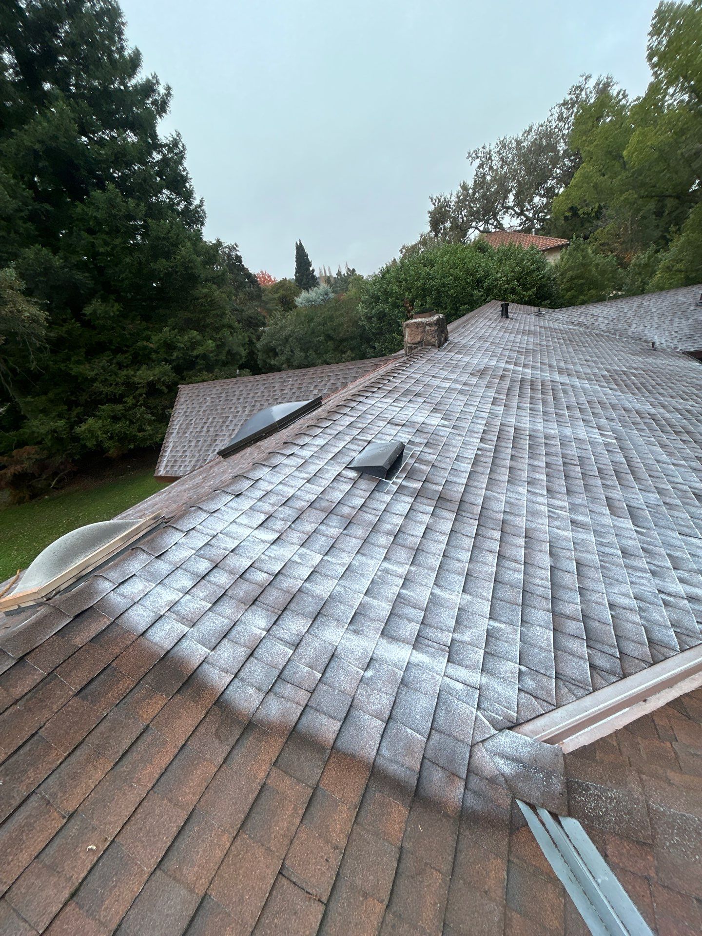 Roof Rejuvenation using Roof Maxx Treatment by Roof Maxx of Folsom