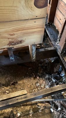 Exposed wood framing and wall cavity with debris and dark staining near the base.