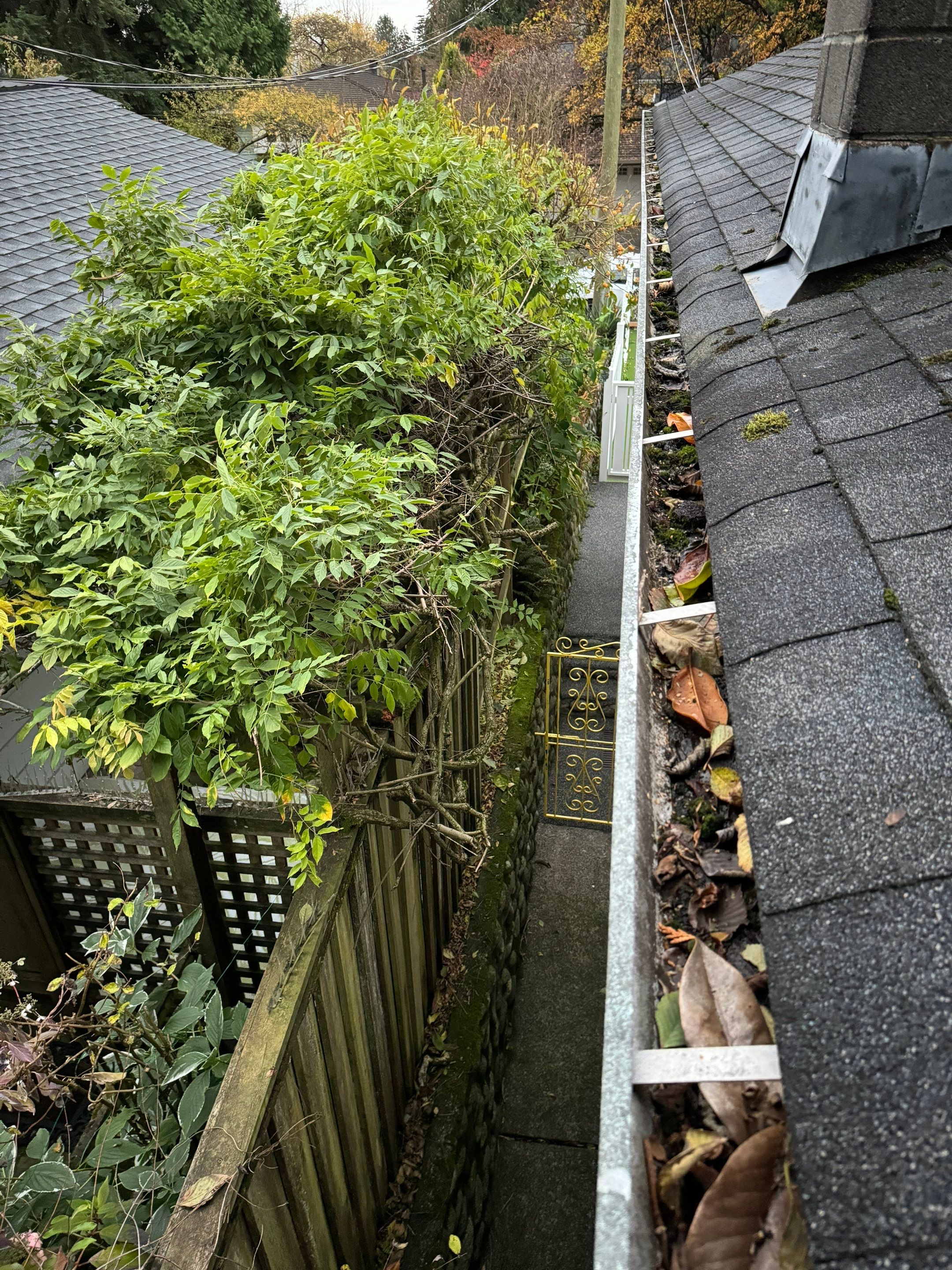 Roof cleaning by YVR Construction Group