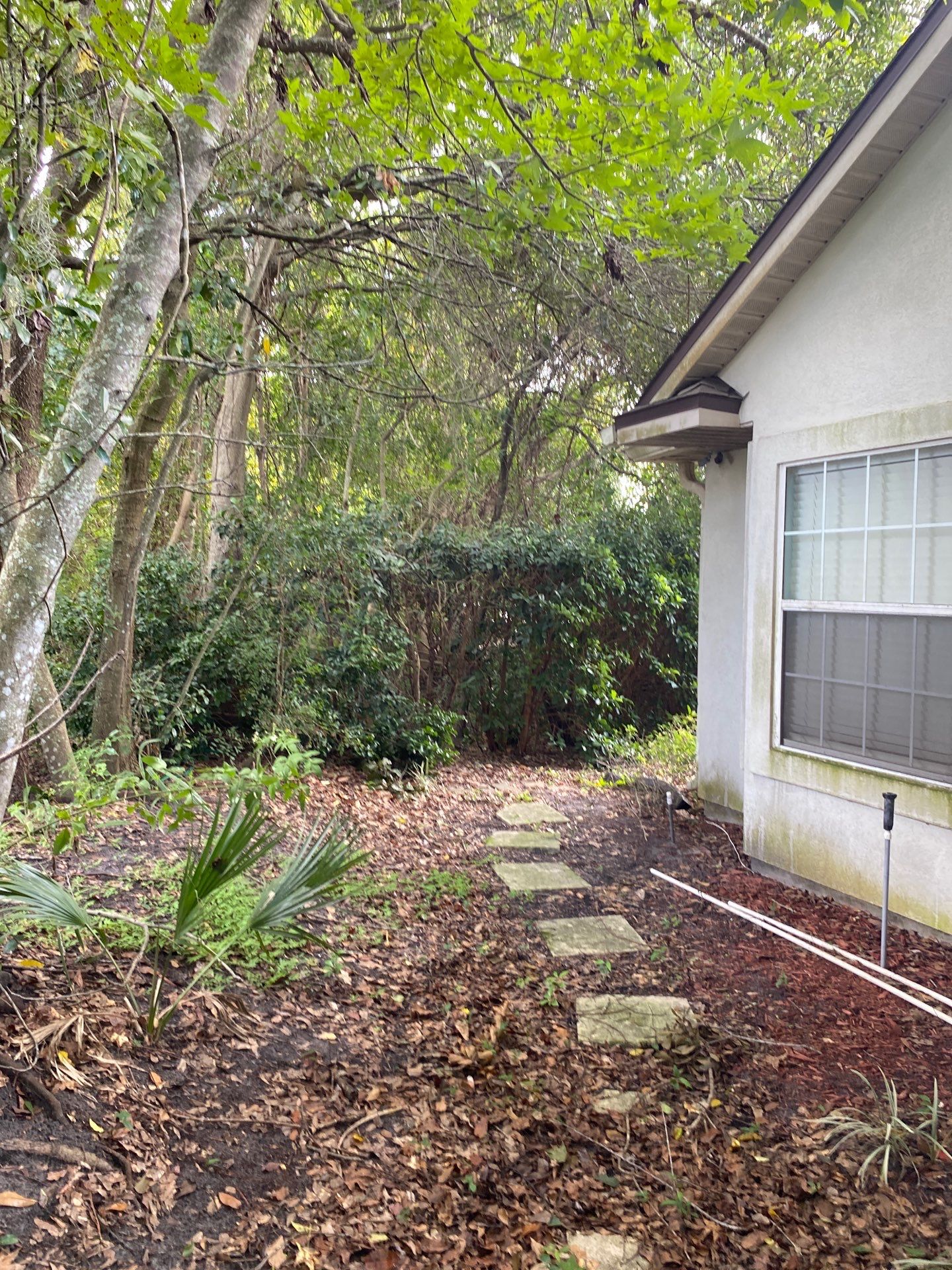 Deerwood Residence | Property Clean Up  by ProGreen Services