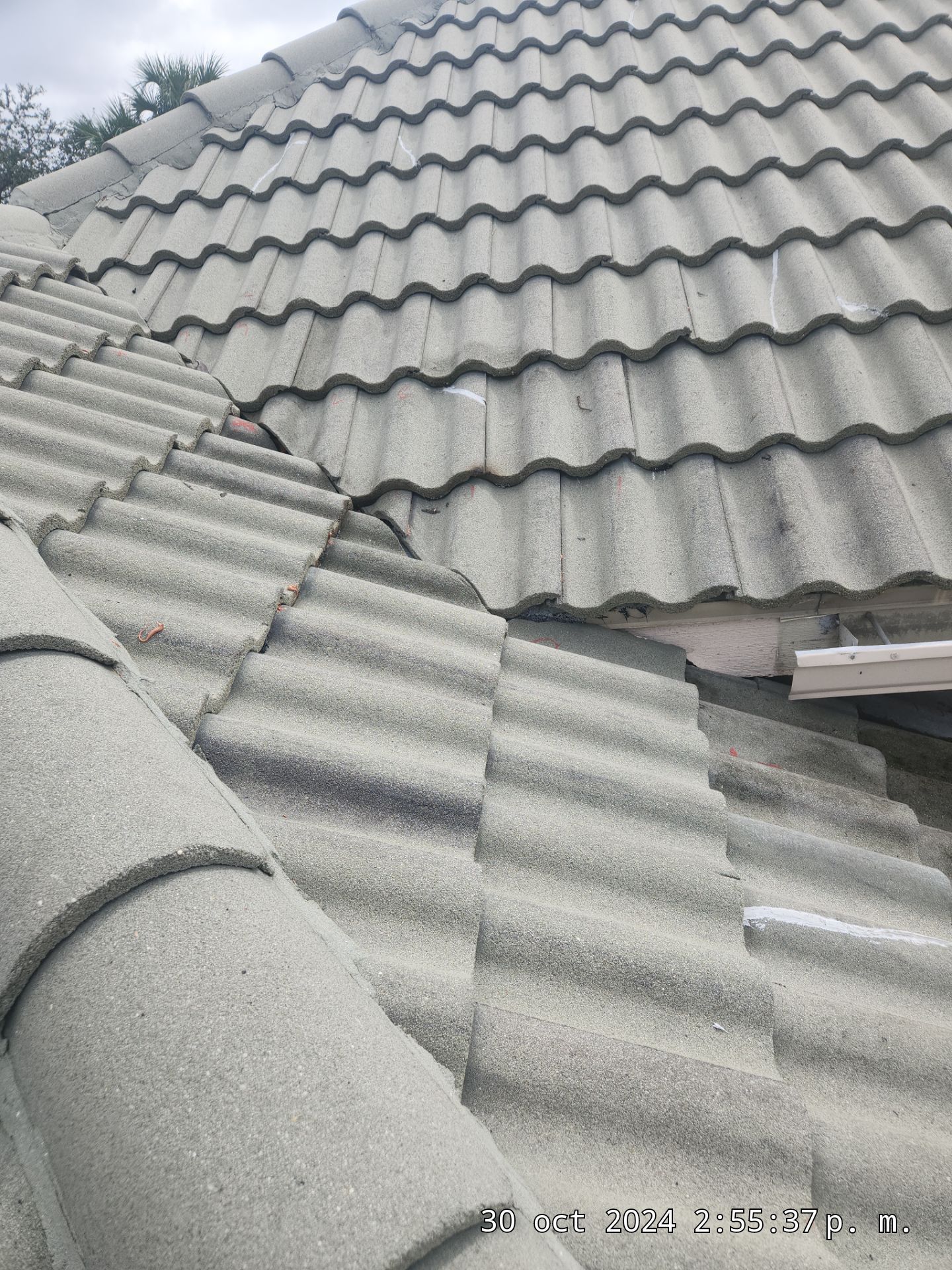 Concrete Tile Roof Repair in Wellington – Expert Restoration & Leak Repair by Aastro Roofing