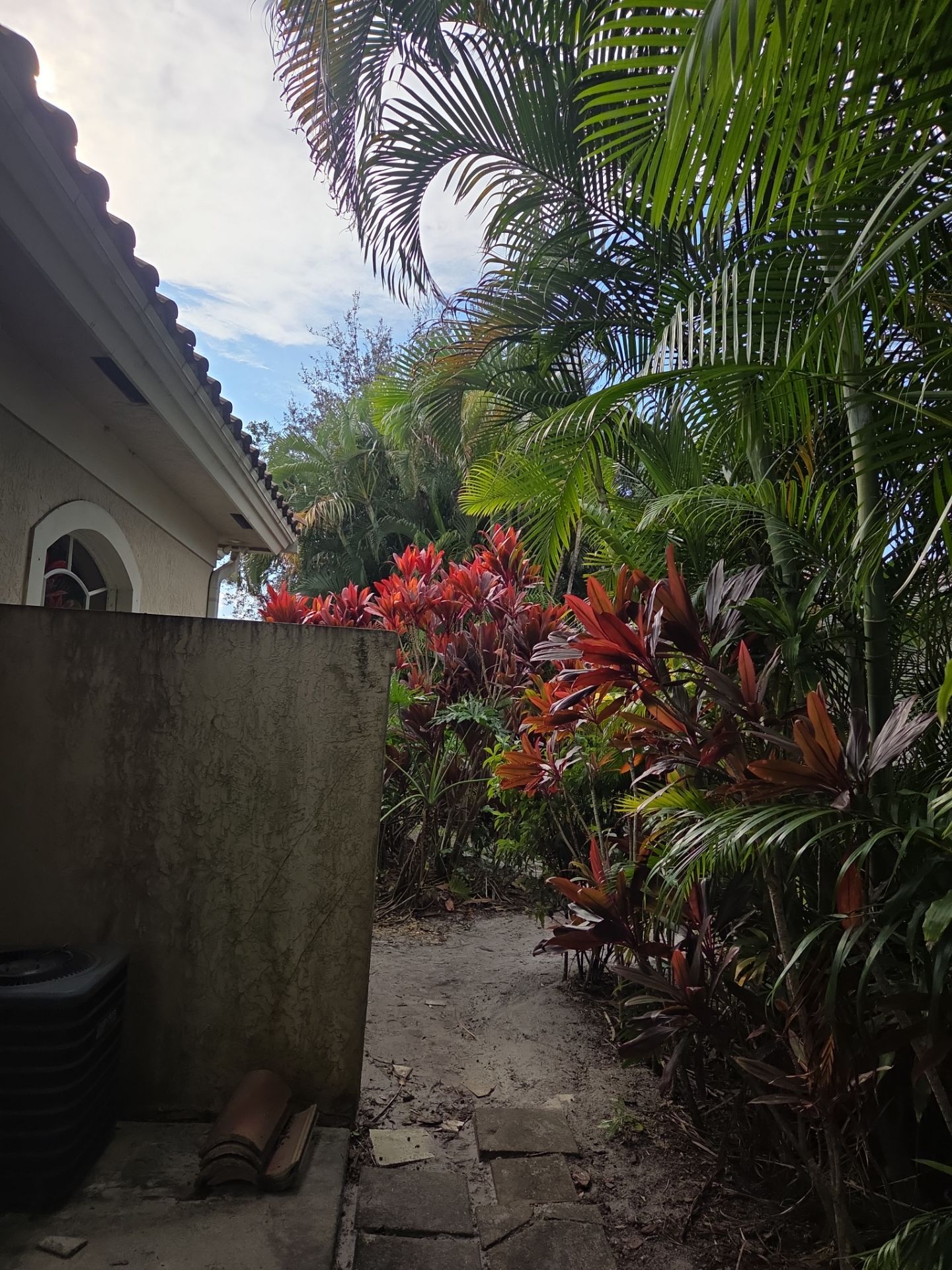 ✨ “Sweep, Spruce & Scoot!” ✨ by Alpha Zeta Enterprises Inc