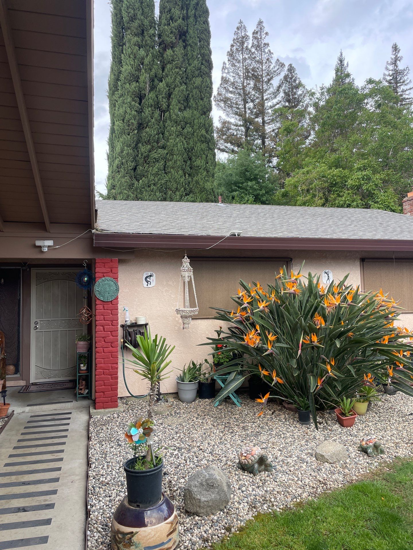 Roof Rejuvenation using Roof Maxx Treatment by Roof Maxx of Folsom