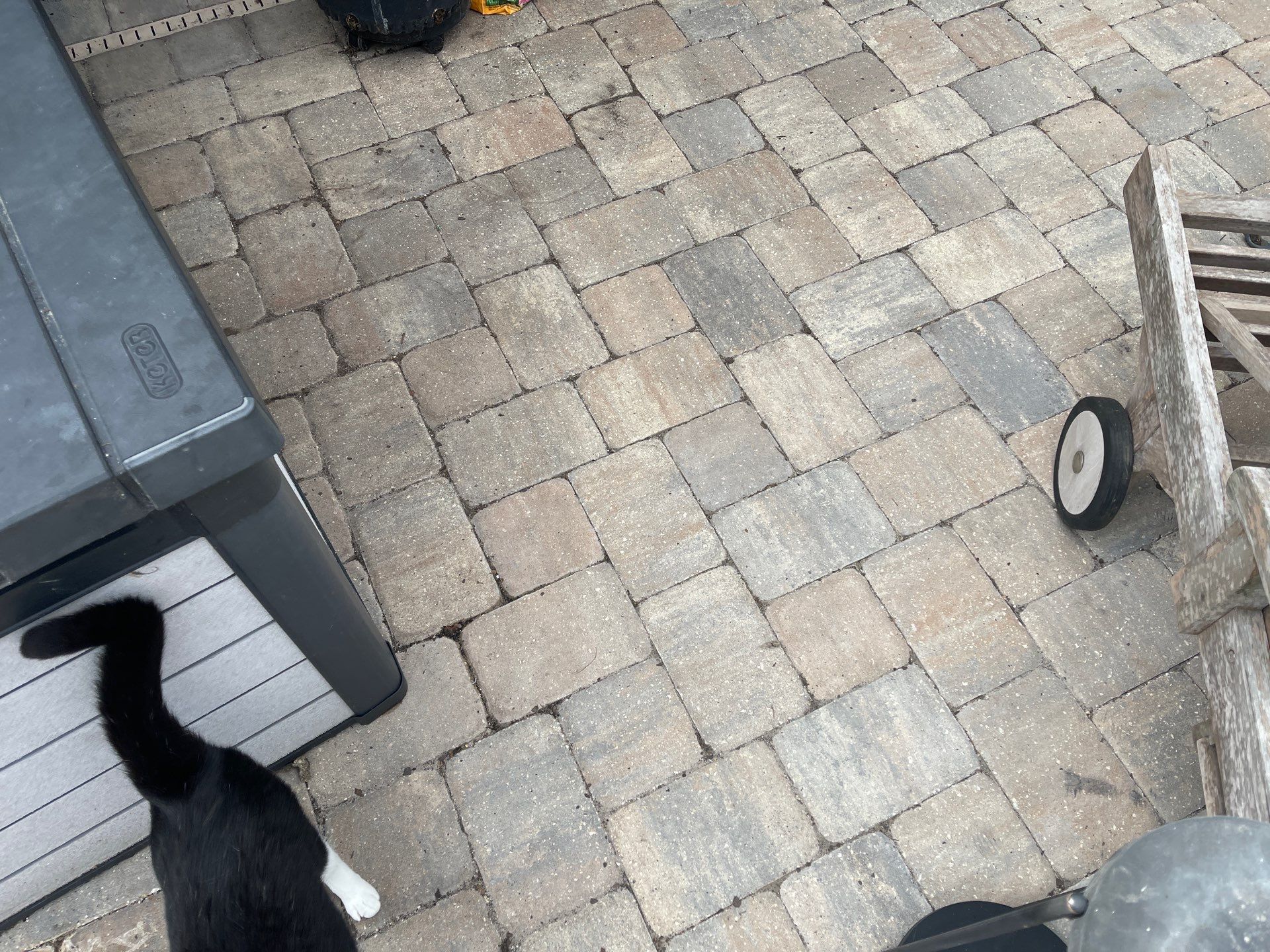 Pool Pavers using Concrete Sealant by DuraSeal