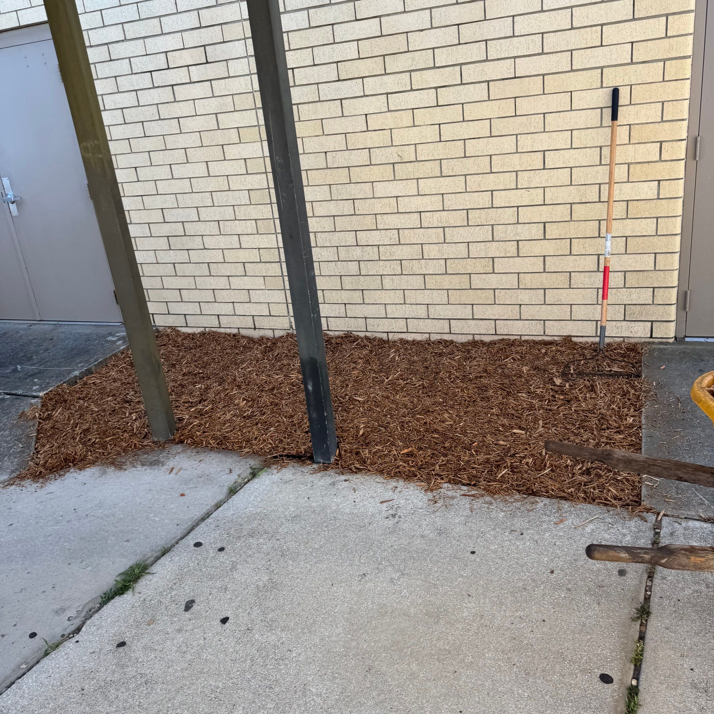 Green Cove Springs Junior High School | Landscape Refresh by ProGreen Services