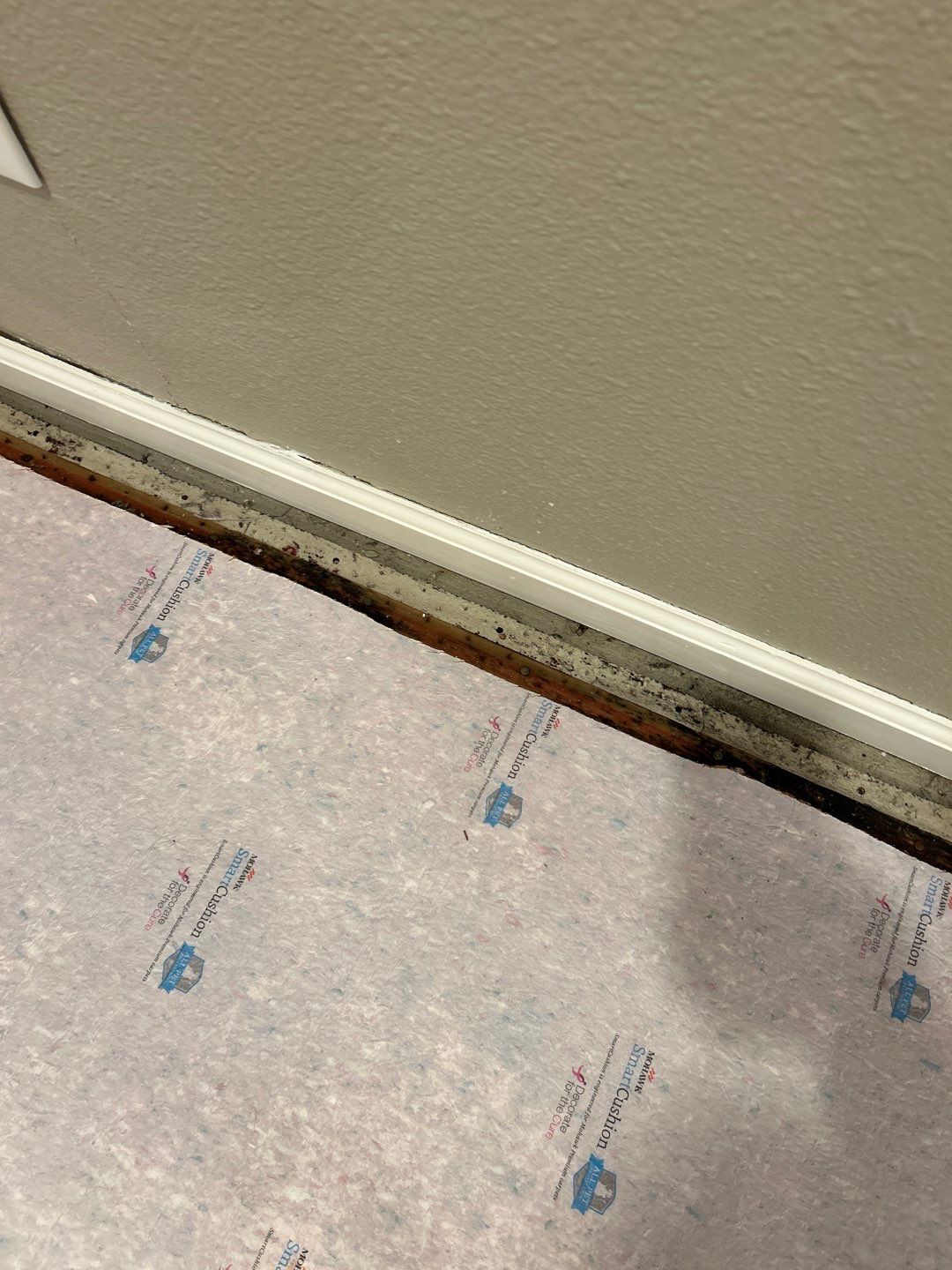 Water Damage  by Accountable Home Services