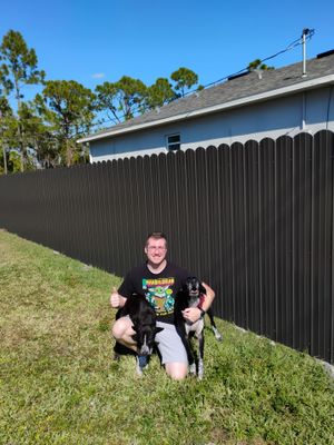 Bronze Metal Fence in Port Charlotte