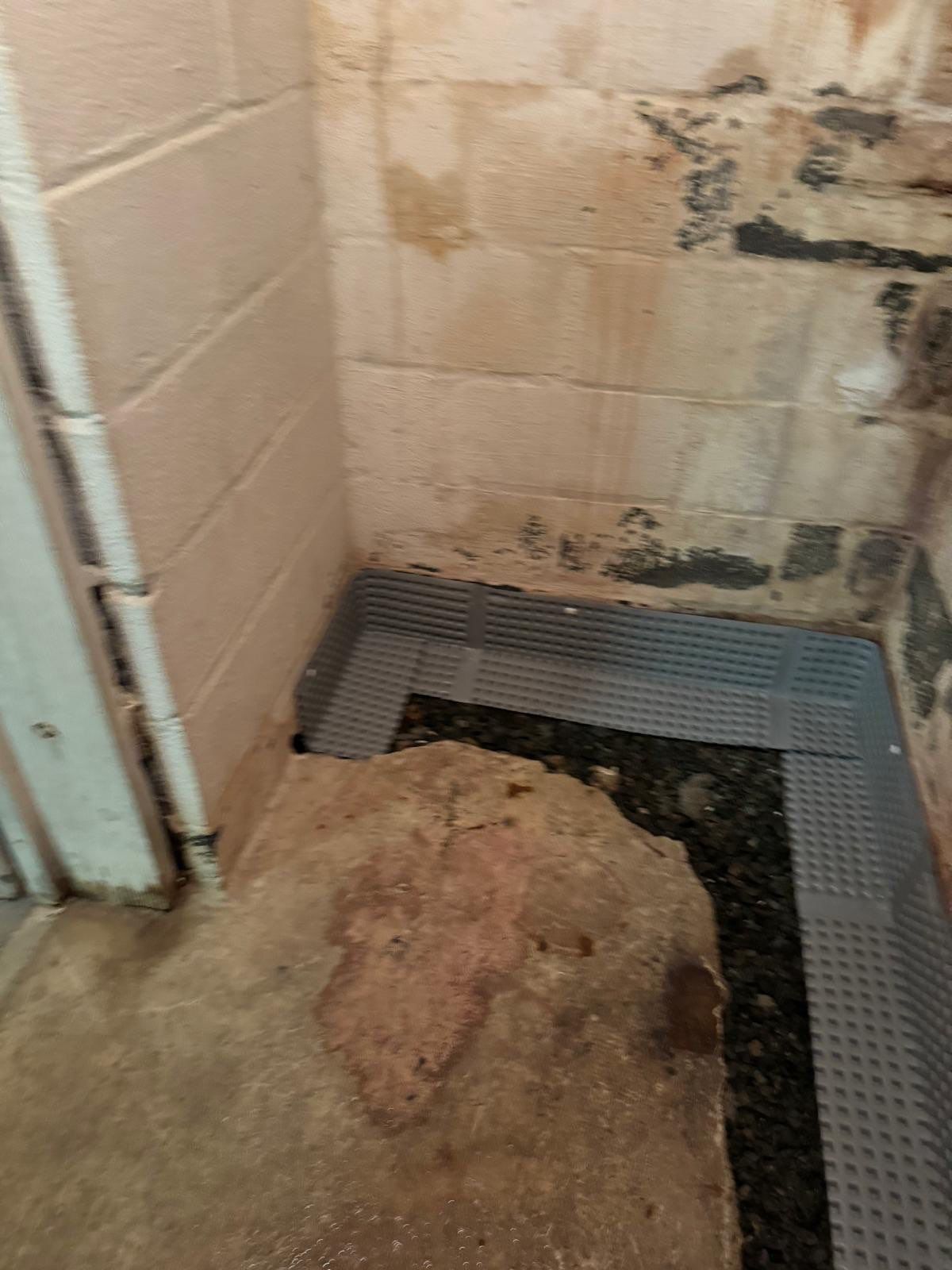 Interior French Drain Washington Township, NJ by Pure Service Pro, LLC 