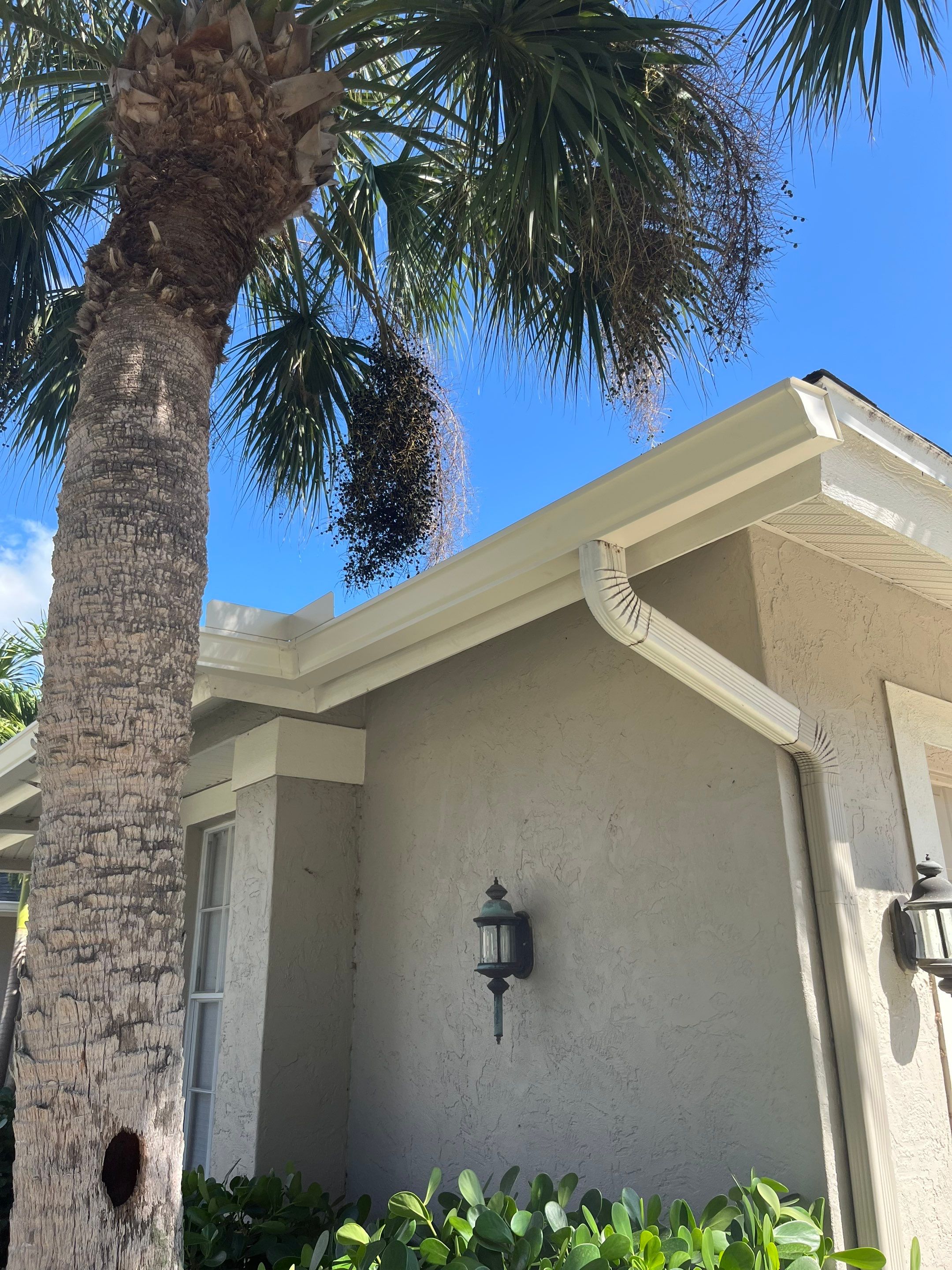 White 6-inch K-Style Gutters in Sarasota FL by Gutter Professor by Gutter Professors