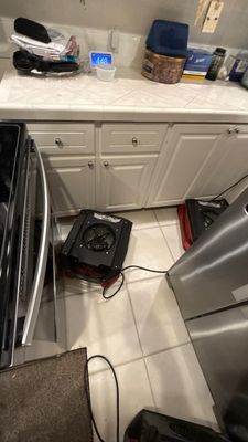 Emergency Water Extraction — Bonita Springs, FL