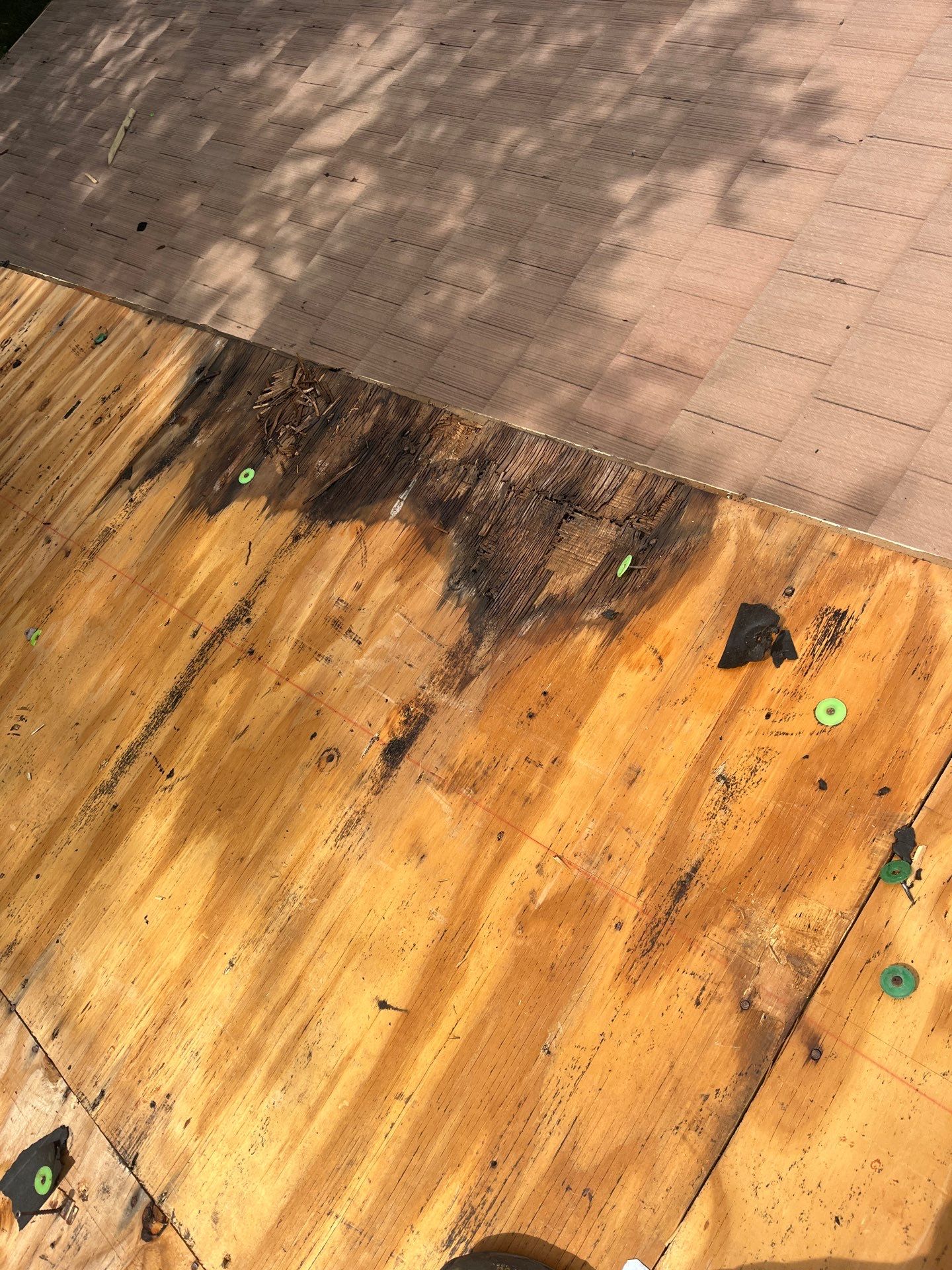 Project in Tampa 33647 by Mitchell Roofing Company LLC