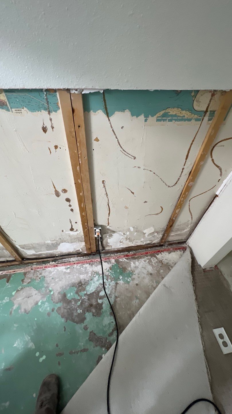 Mold Remediation by Accountable Home Services