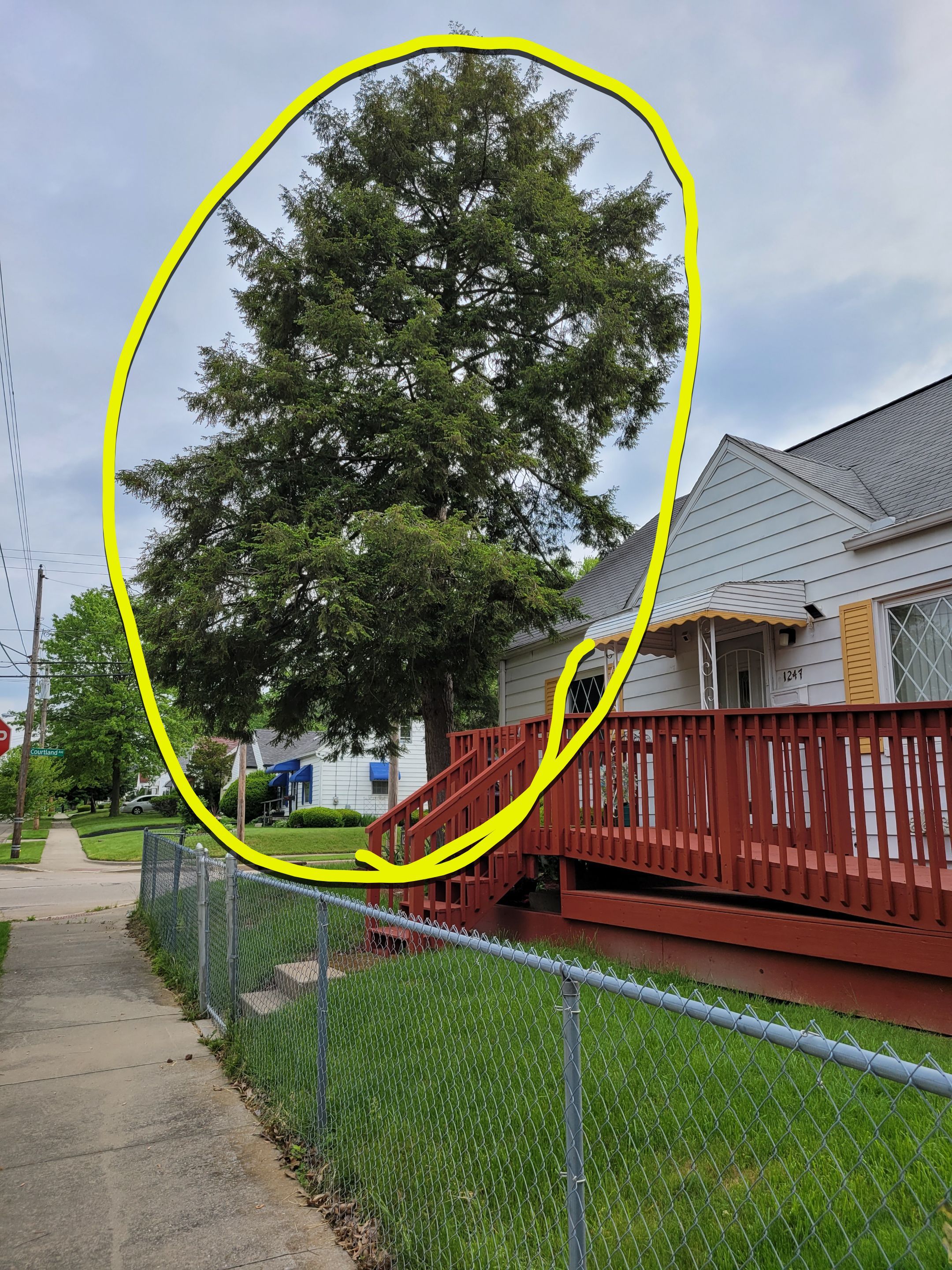 Tree Removal using Tree Removal by Mike Jones & Sons Tree Service LLC 