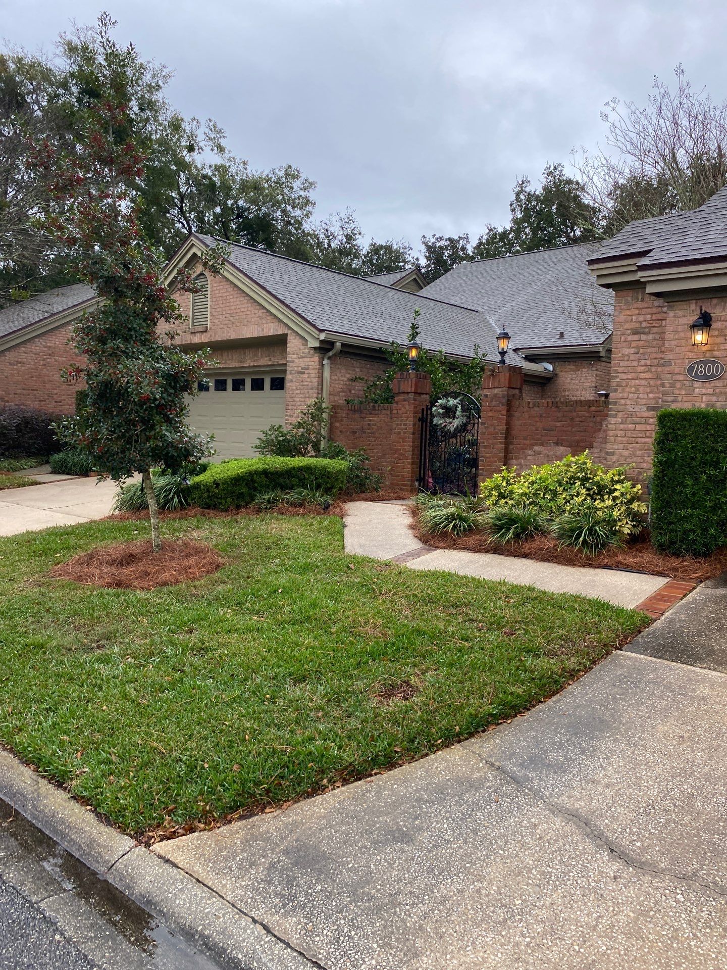 Deerwood Pointe | Tree Removal & Pine Straw Installation by ProGreen Services