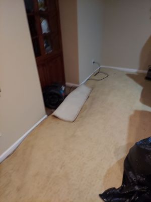 Project by BlueRed Restoration