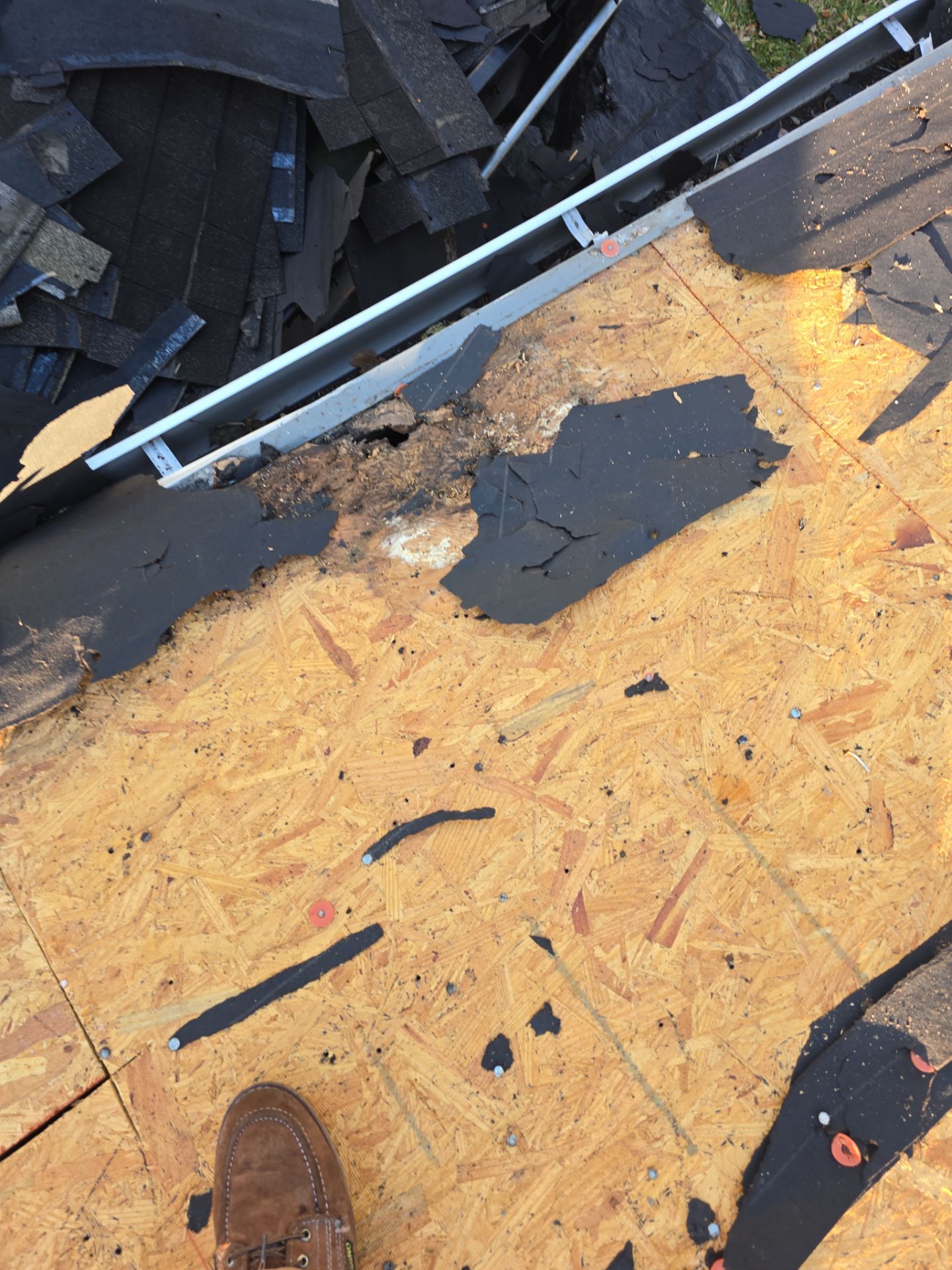 Roof Replacement Spring by Roof Repair Company