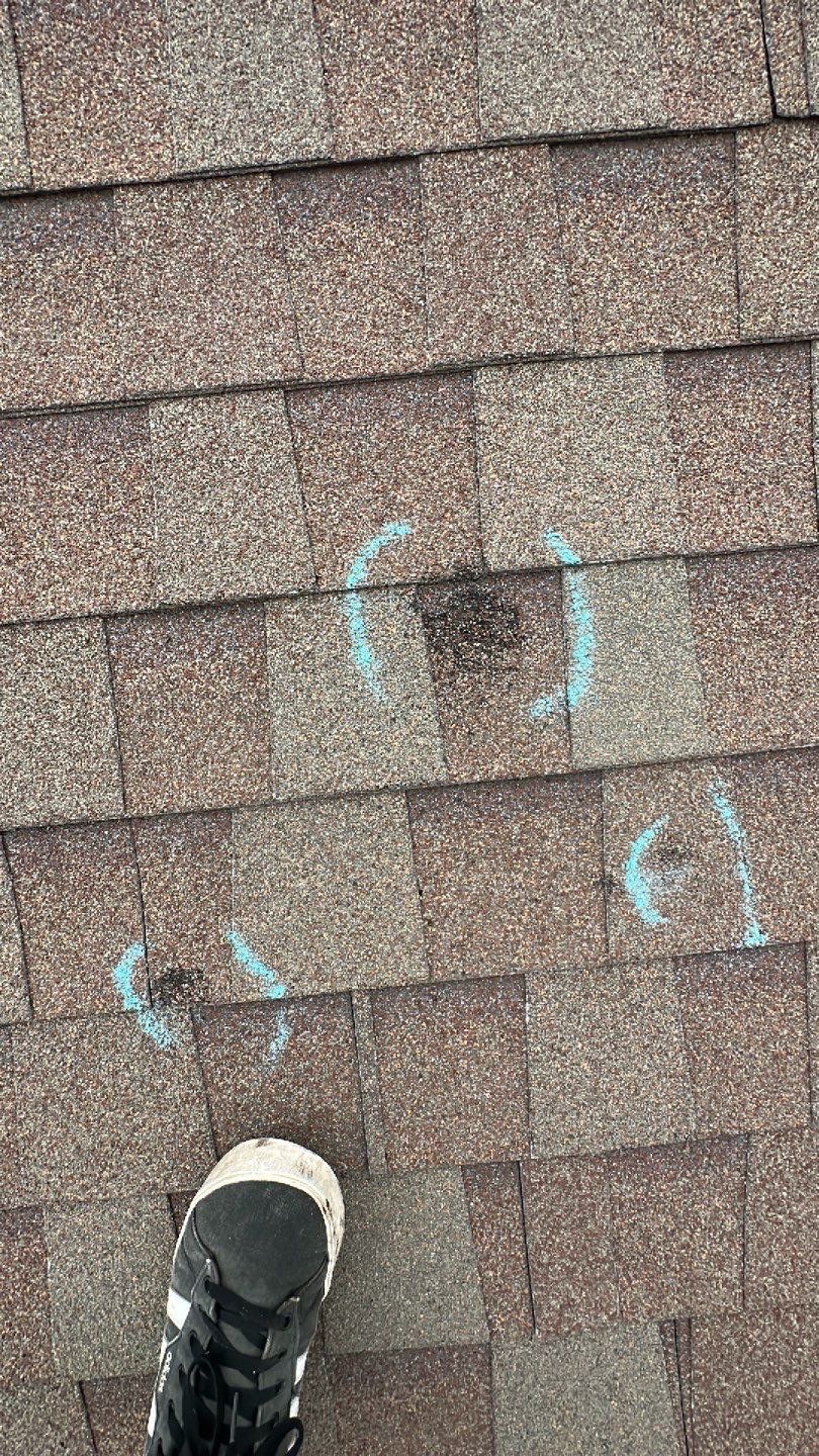 Residential Roof Replacement using Atlas Pinnacle IR in Heather Blend by Elite Roofing LLC