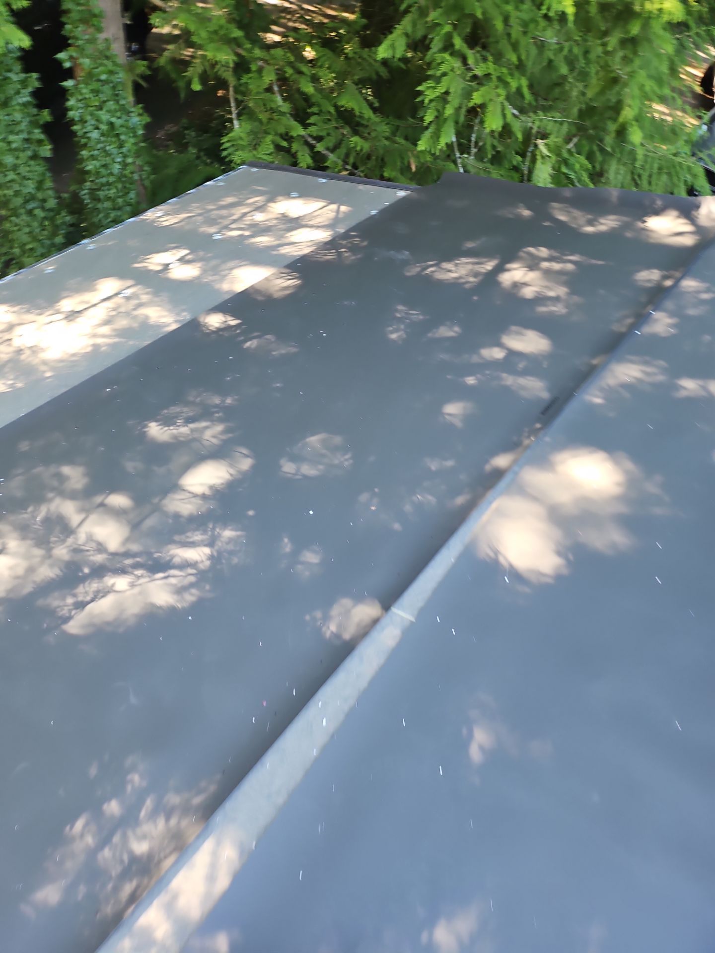 Project in Seattle by Peaks and Valleys Construction