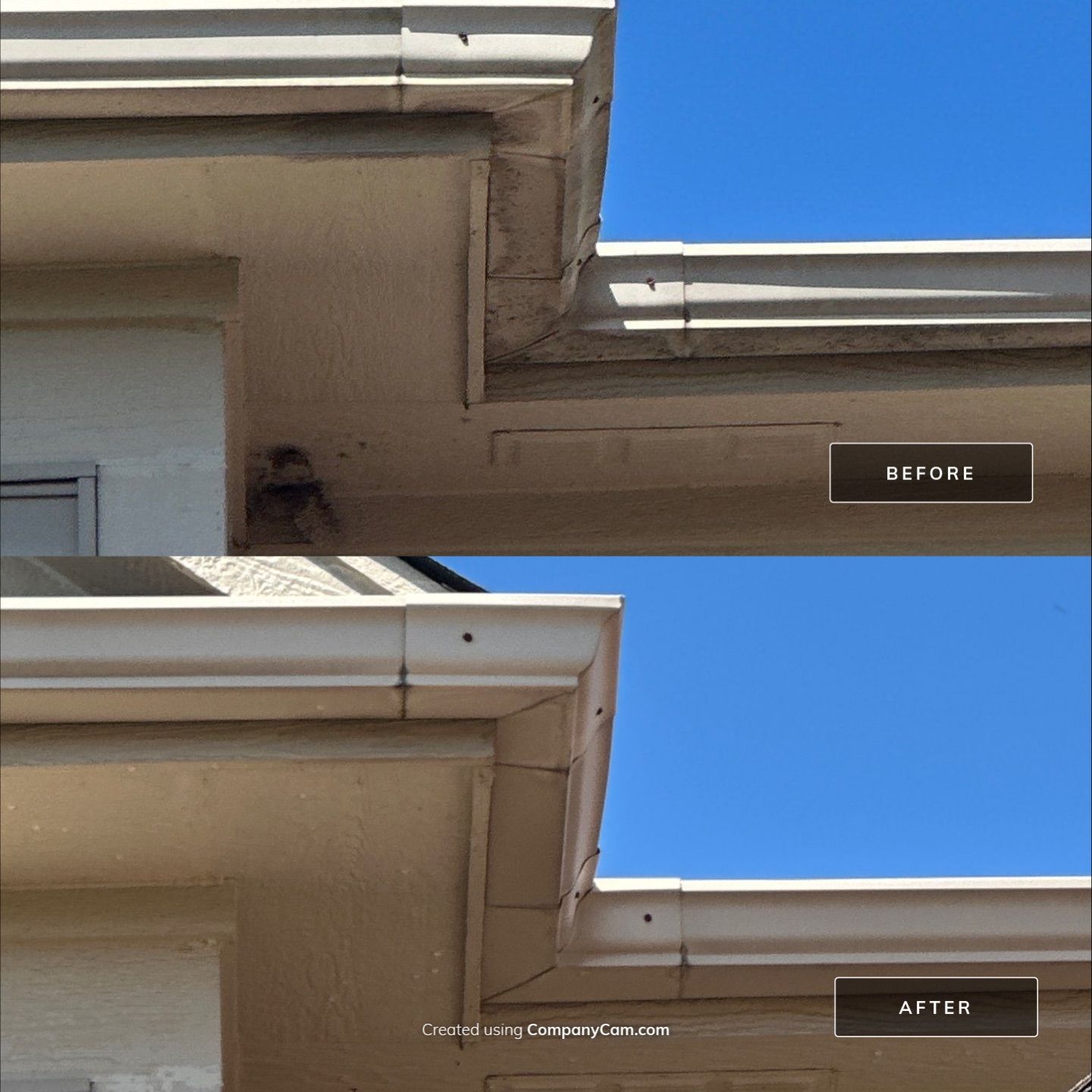 Project in Antioch by Simmons Power & Soft Washing