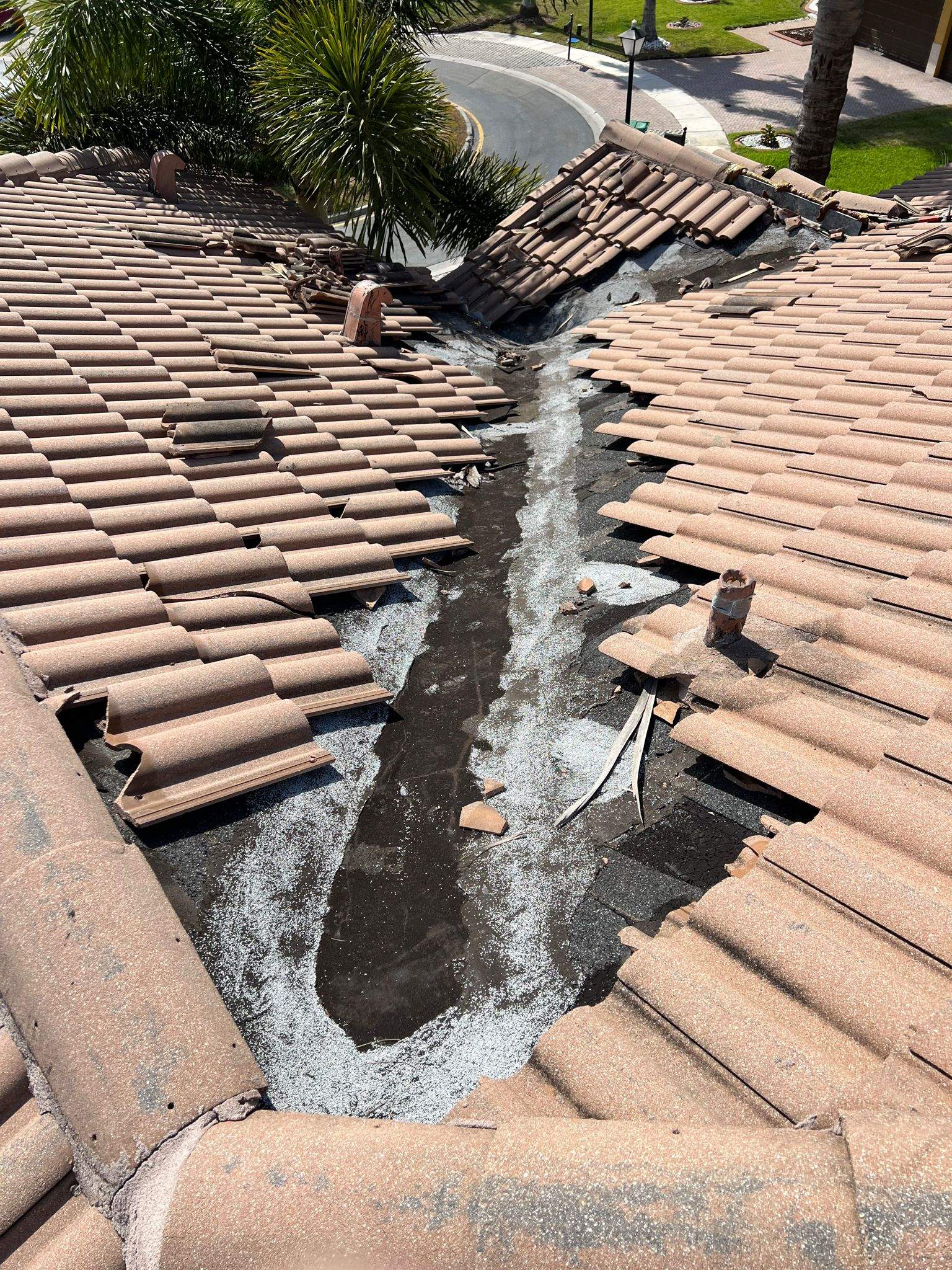 Silverline Roofing Experts featured photo.