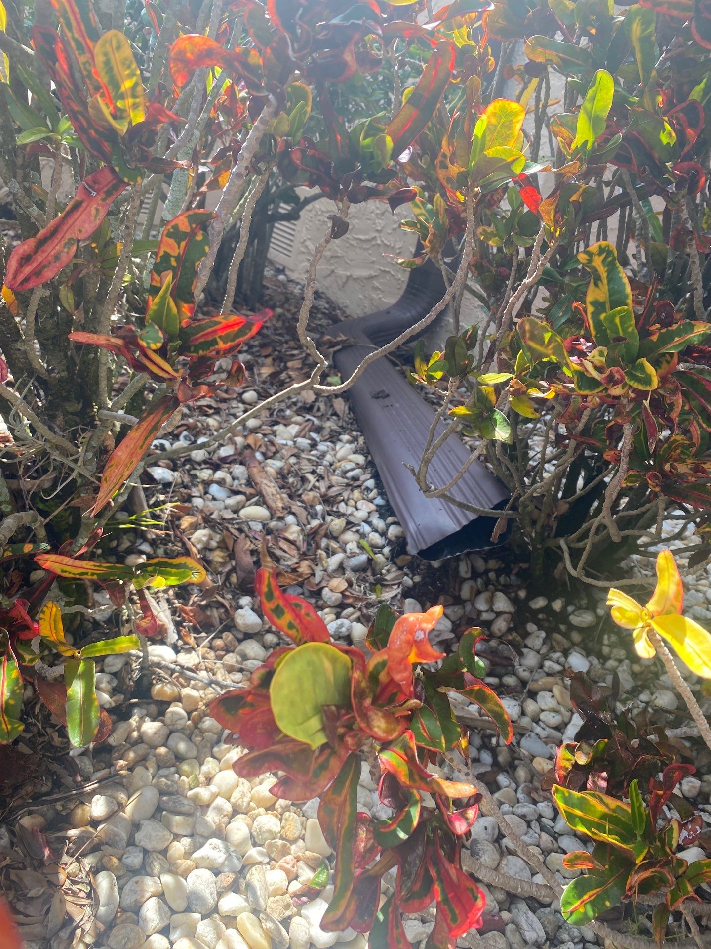 Bronze Gutter Installation in Sarasota FL by Gutter Professors