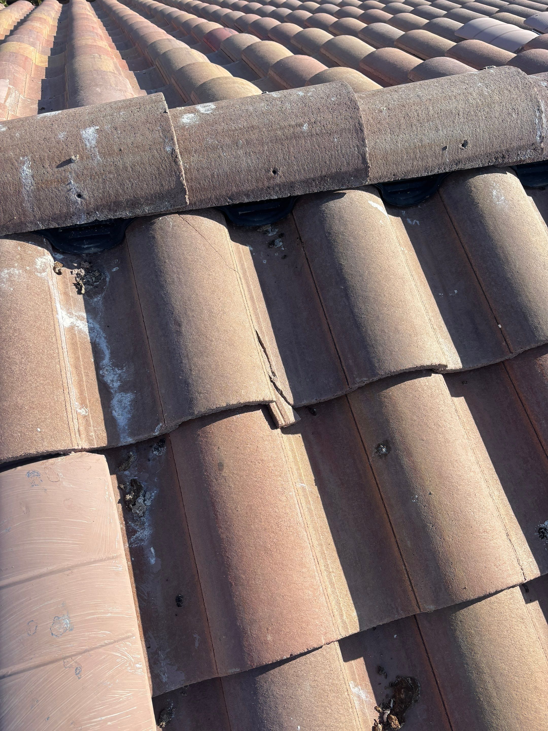Bird Proofing Project in Victorville Ca by Palm Coast Solar Cleaning