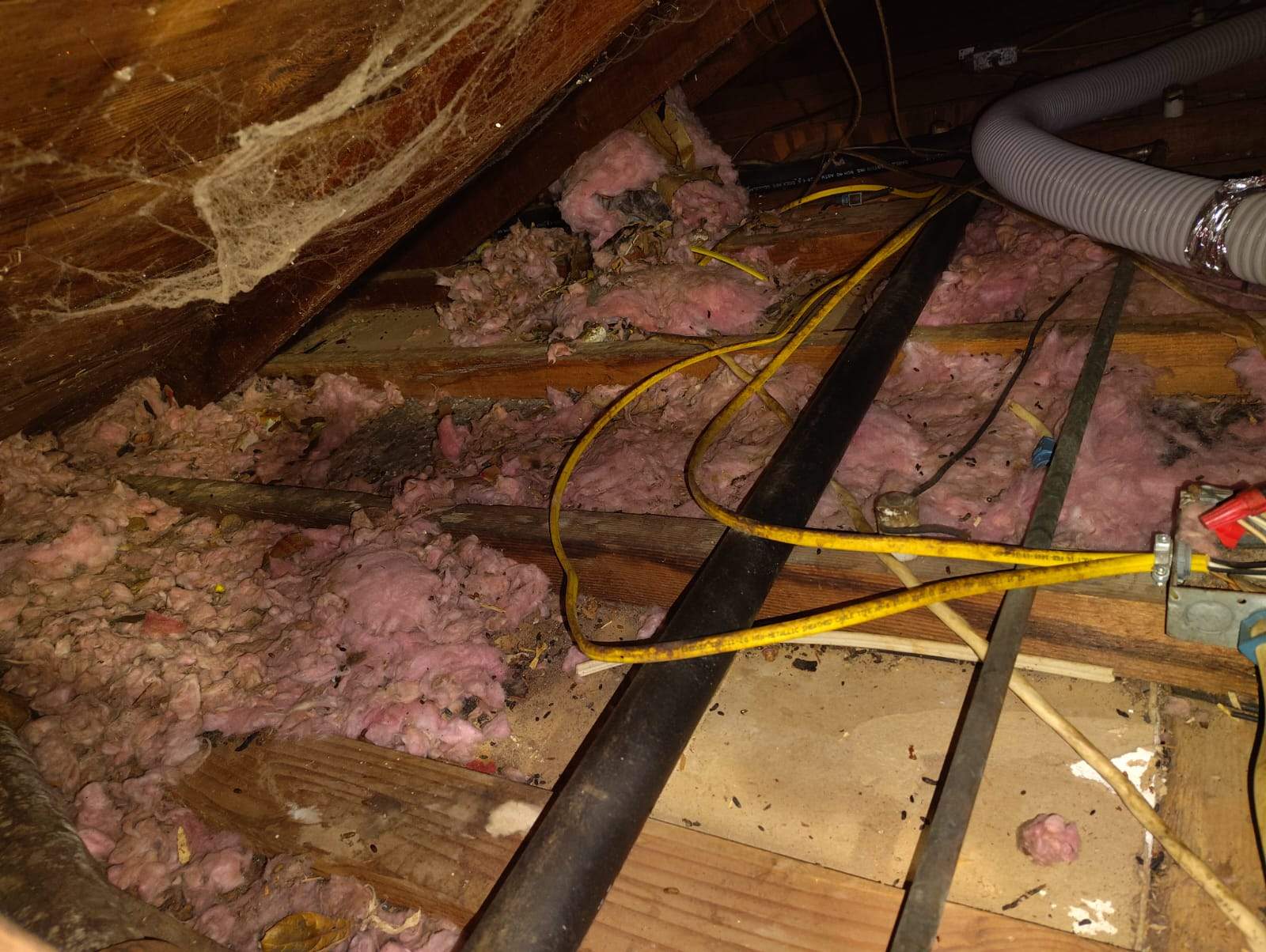 Project by Advanced Attic Solutions by Advanced Attic Solutions