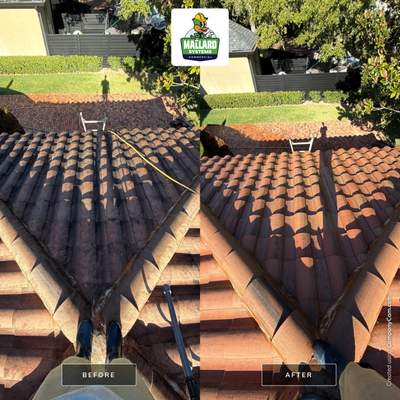 Barrel Tile Roof Cleaning
