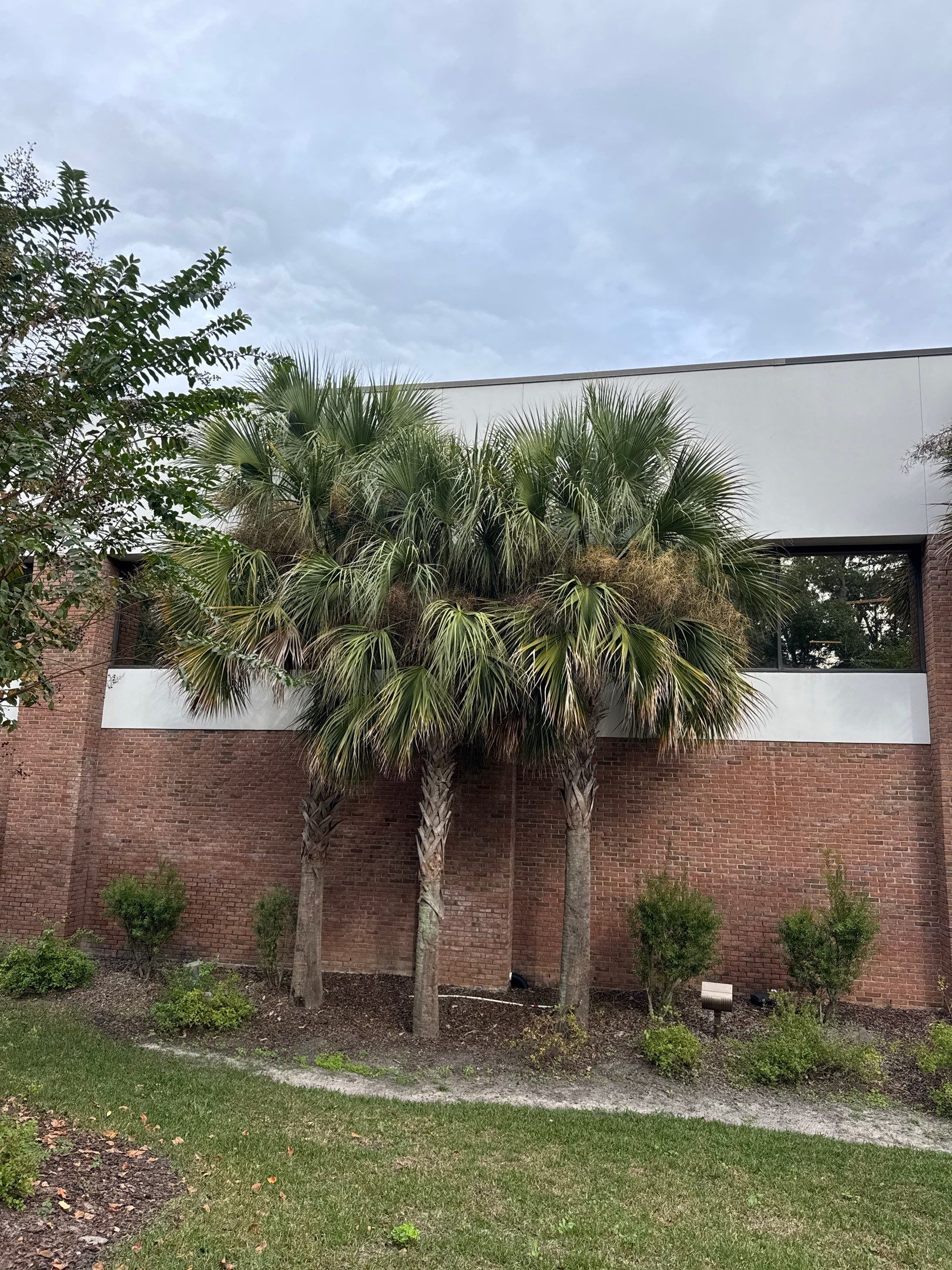 Volunteer Work | Episcopal High School of Jacksonville by ProGreen Services