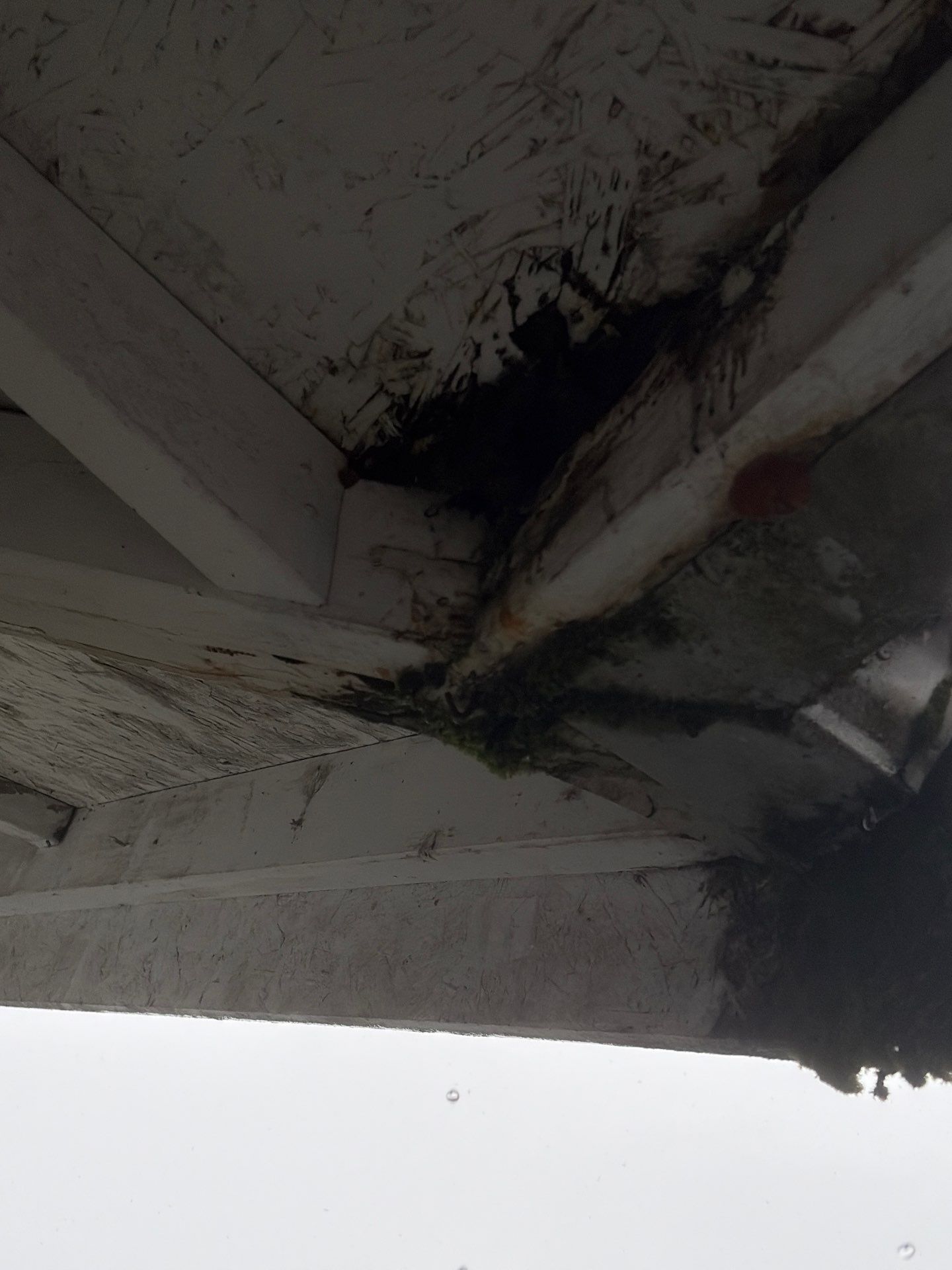 Roof in Lake Stevens by Connolly Construction Company