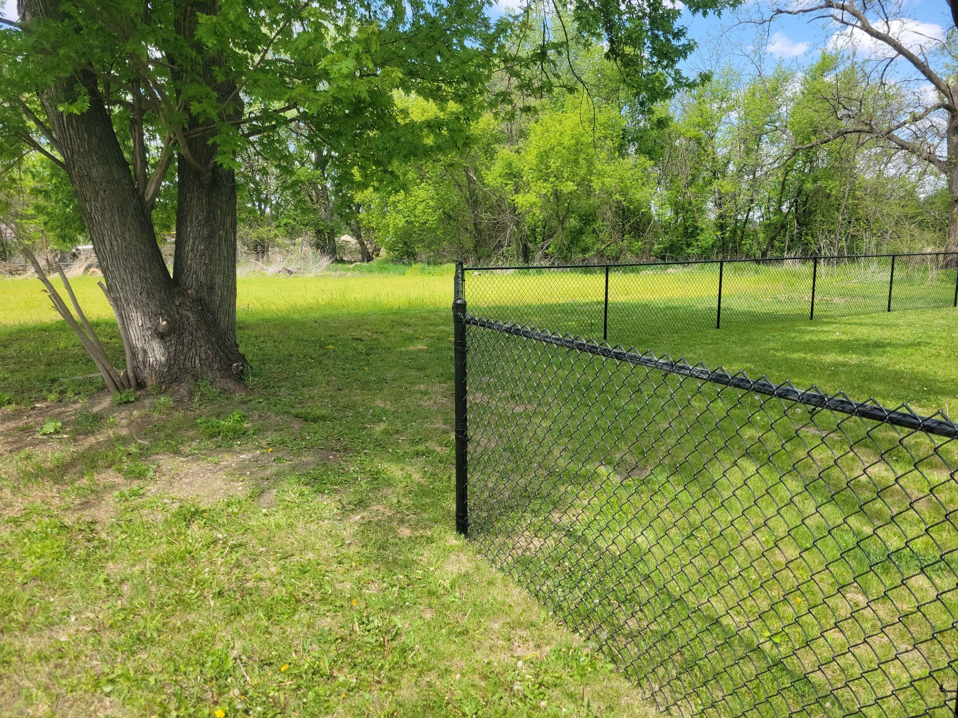 Black Chain Link Fence Installation and Gate in Traer by Perfect Picket Fence and Stain