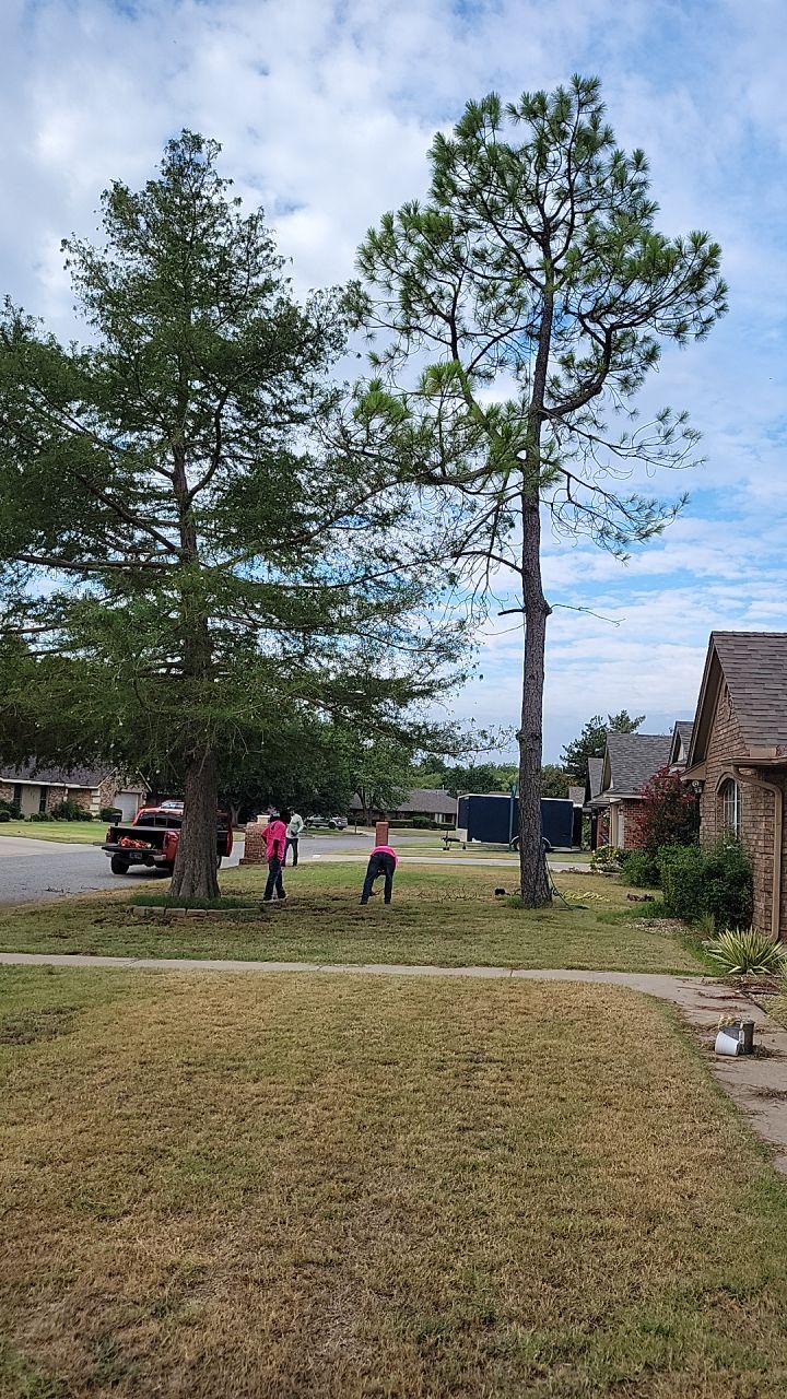 Tree removal , Concrete, Pergola, and sod install  by Clays Services Inc