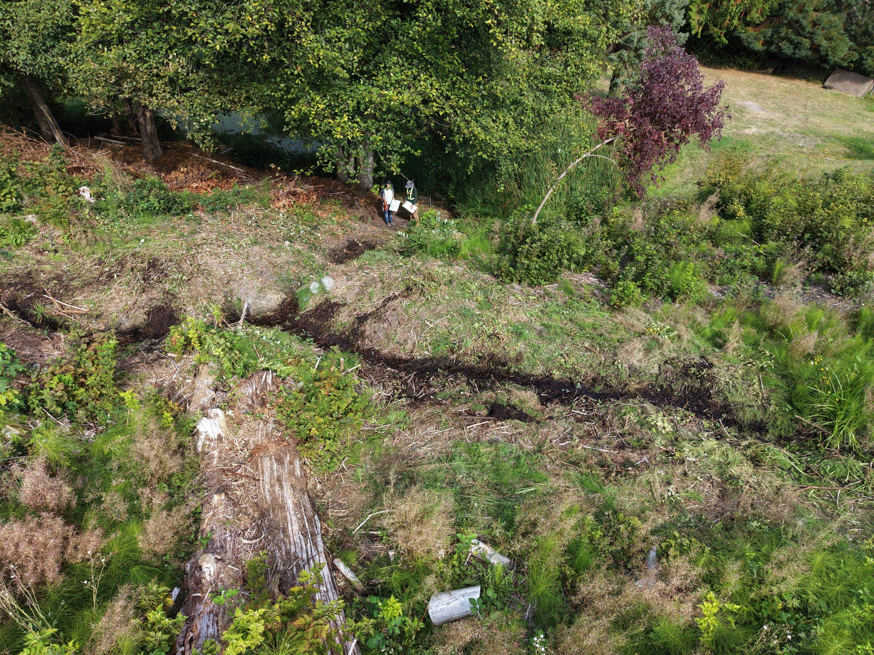 Island View - Ecological Restoration & Stewardship by Habanero Landscape Solutions
