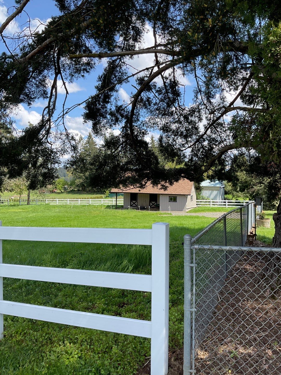 Vinyl Fence Wash using Surfactant by Willamette Outdoor Wash LLC