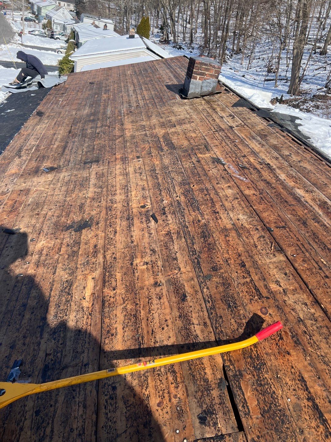 Silver Birch Shingles by Reimagine Roofing