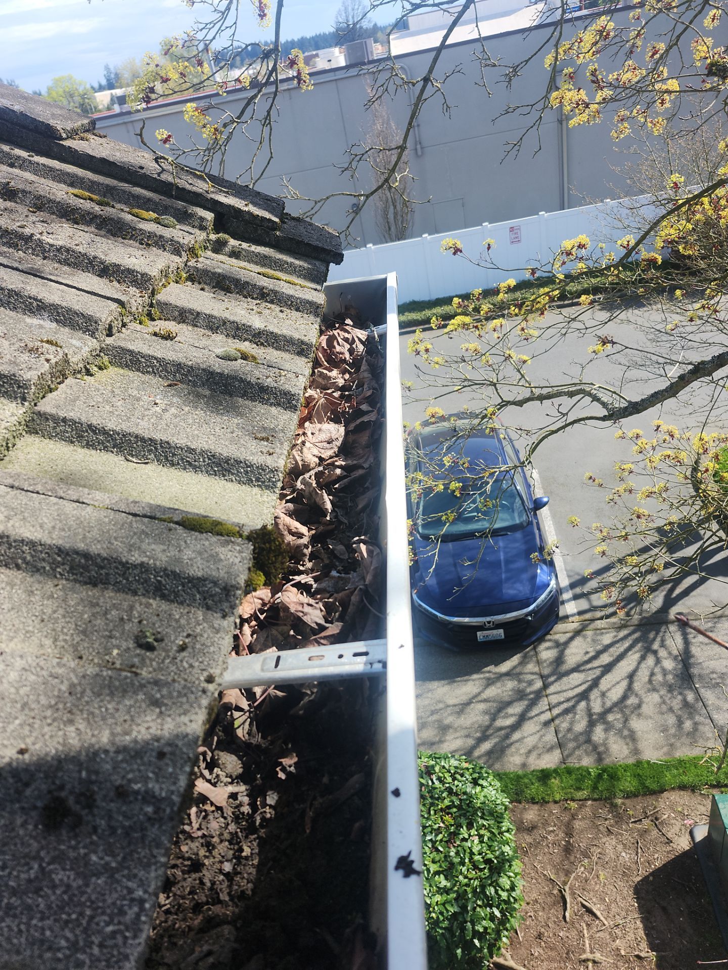 HOA gutter cleaning before photo.