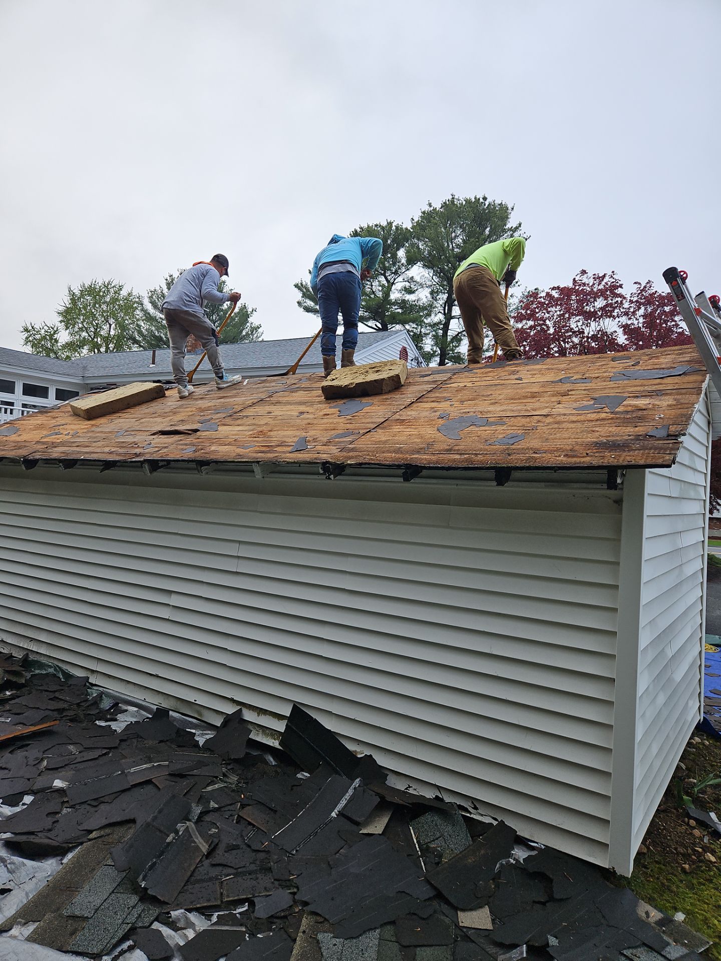 Siding, Roofing & Windows | Wilmington by Mighty Dog Roofing of Greater Middlesex County