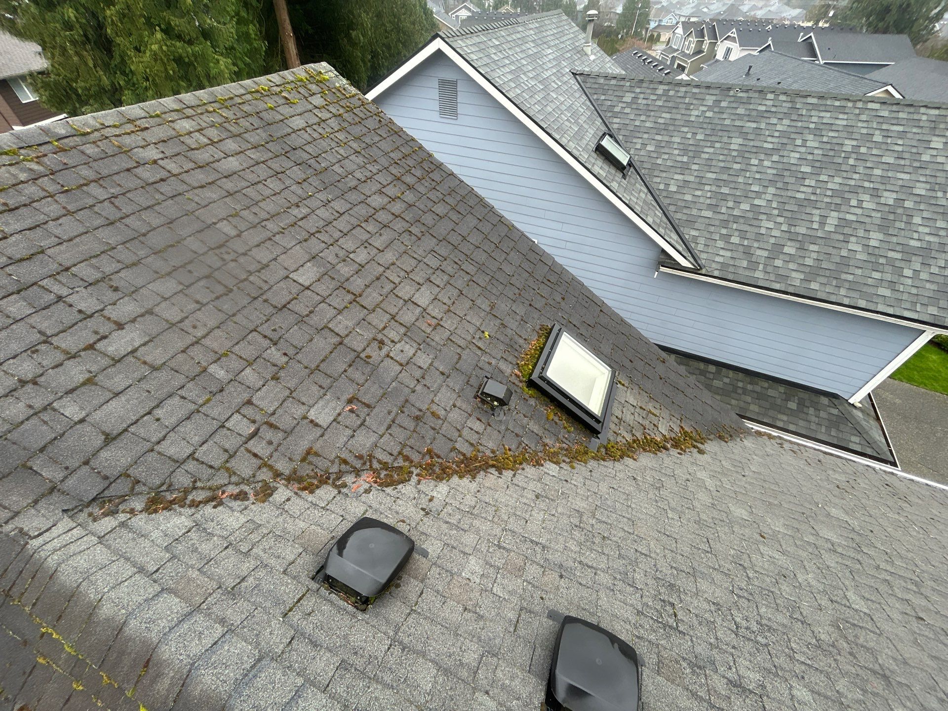 Project in Mill Creek by Peaks and Valleys Construction