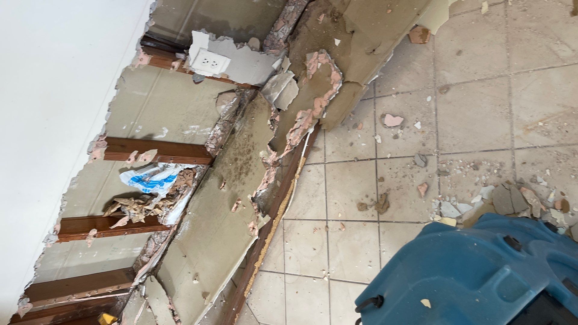 Mold Remediation  by THE RAPID TEAM