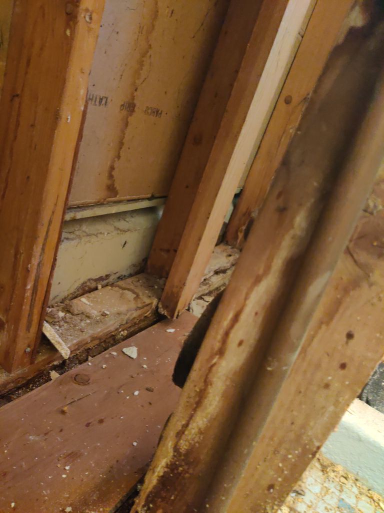 Water Damage Repair by Accountable Home Services