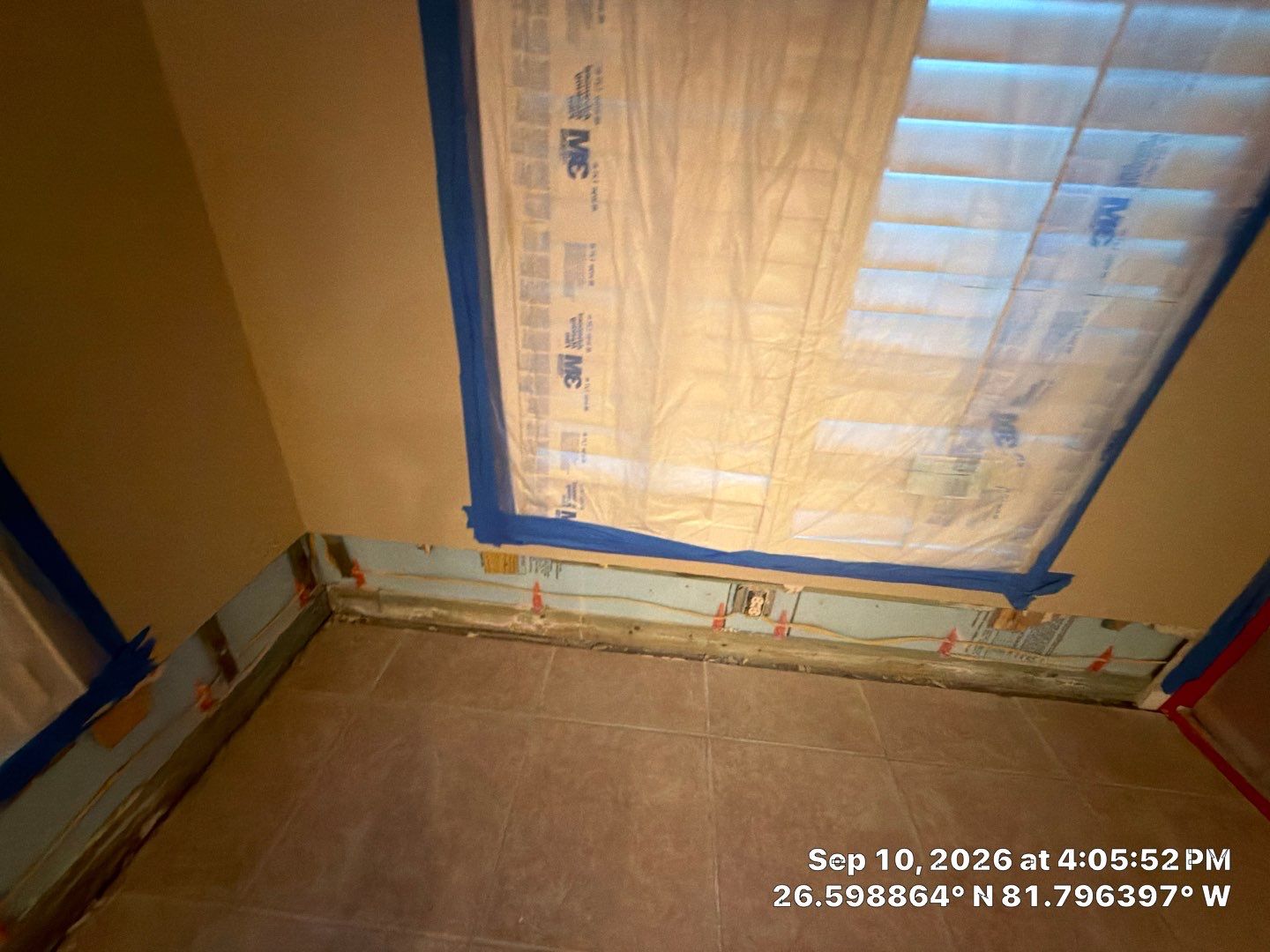 Fort Myers Water Damage Restoration and Professional Mold Remediation by Microscope