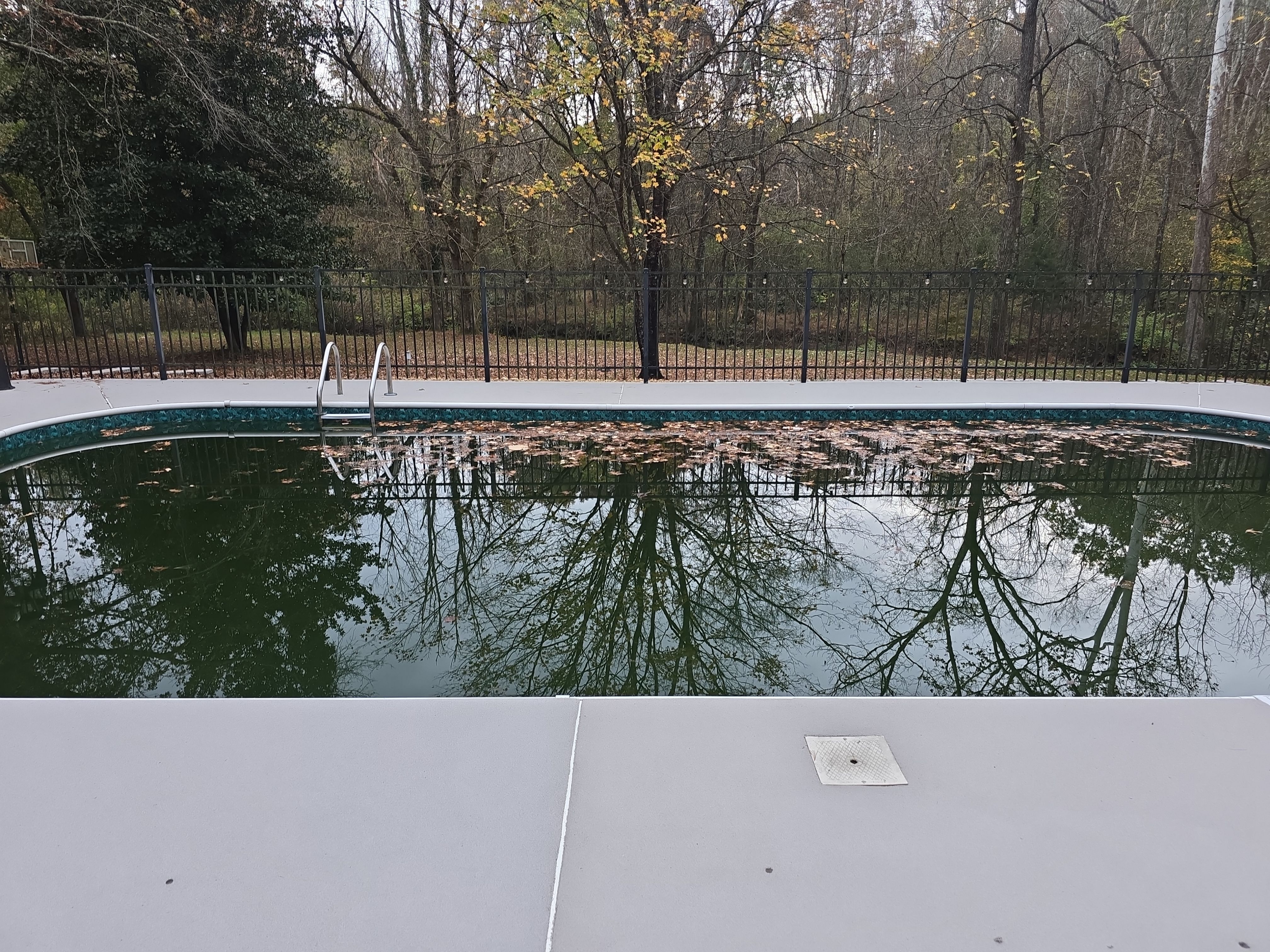  Quartz Pool Deck Using Ash by Elite Floor Solutions