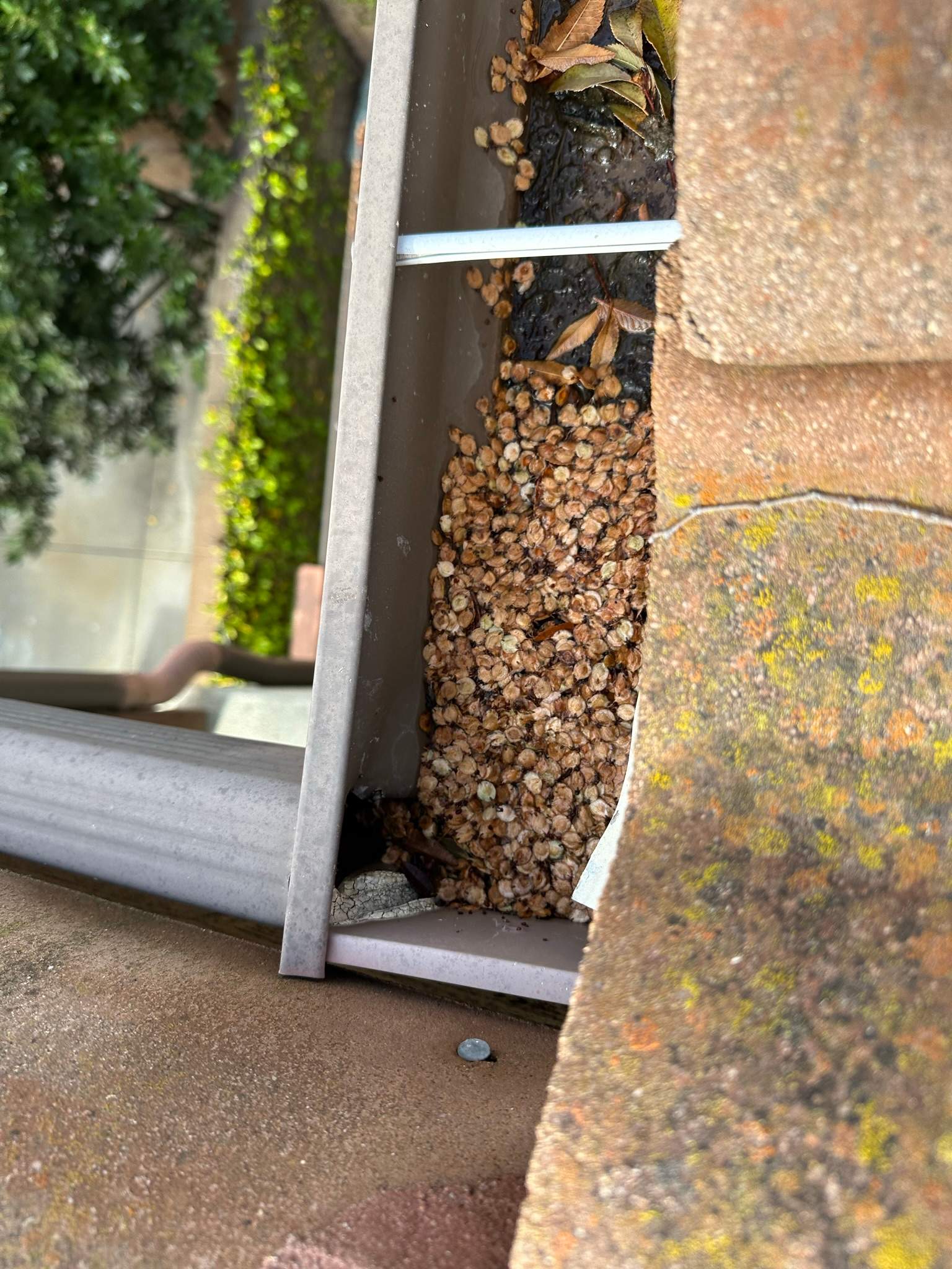 Clogged gutters at this Irvine home in Woodbury by Property Cleaning Experts, LLC