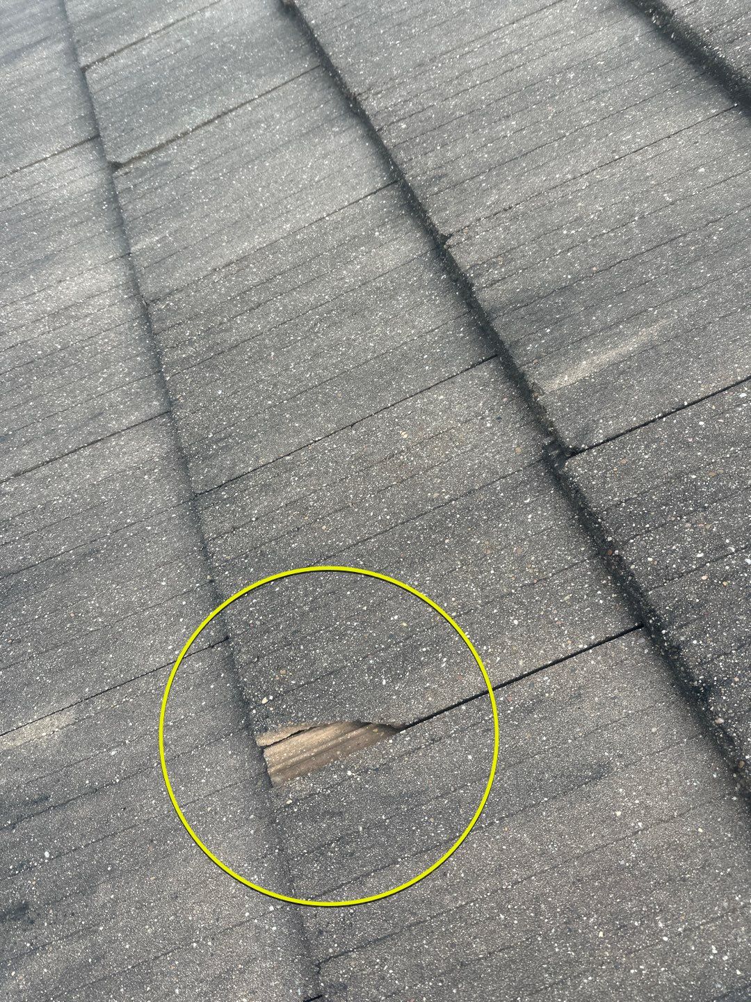 Roof Repair Richmond by Roof Repair Services LLC