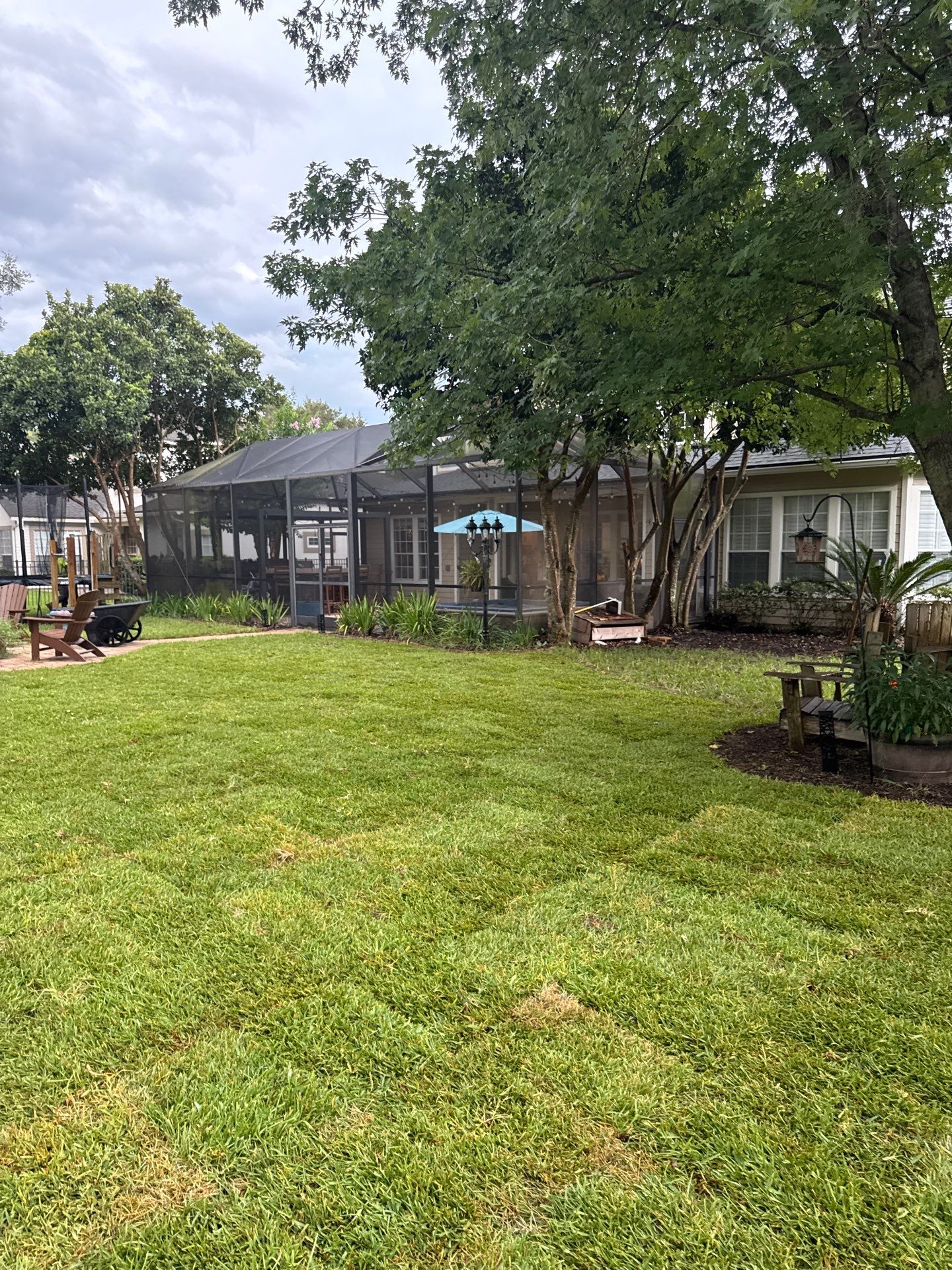 Residential | Sod Installation & Tree Trimming by ProGreen Services