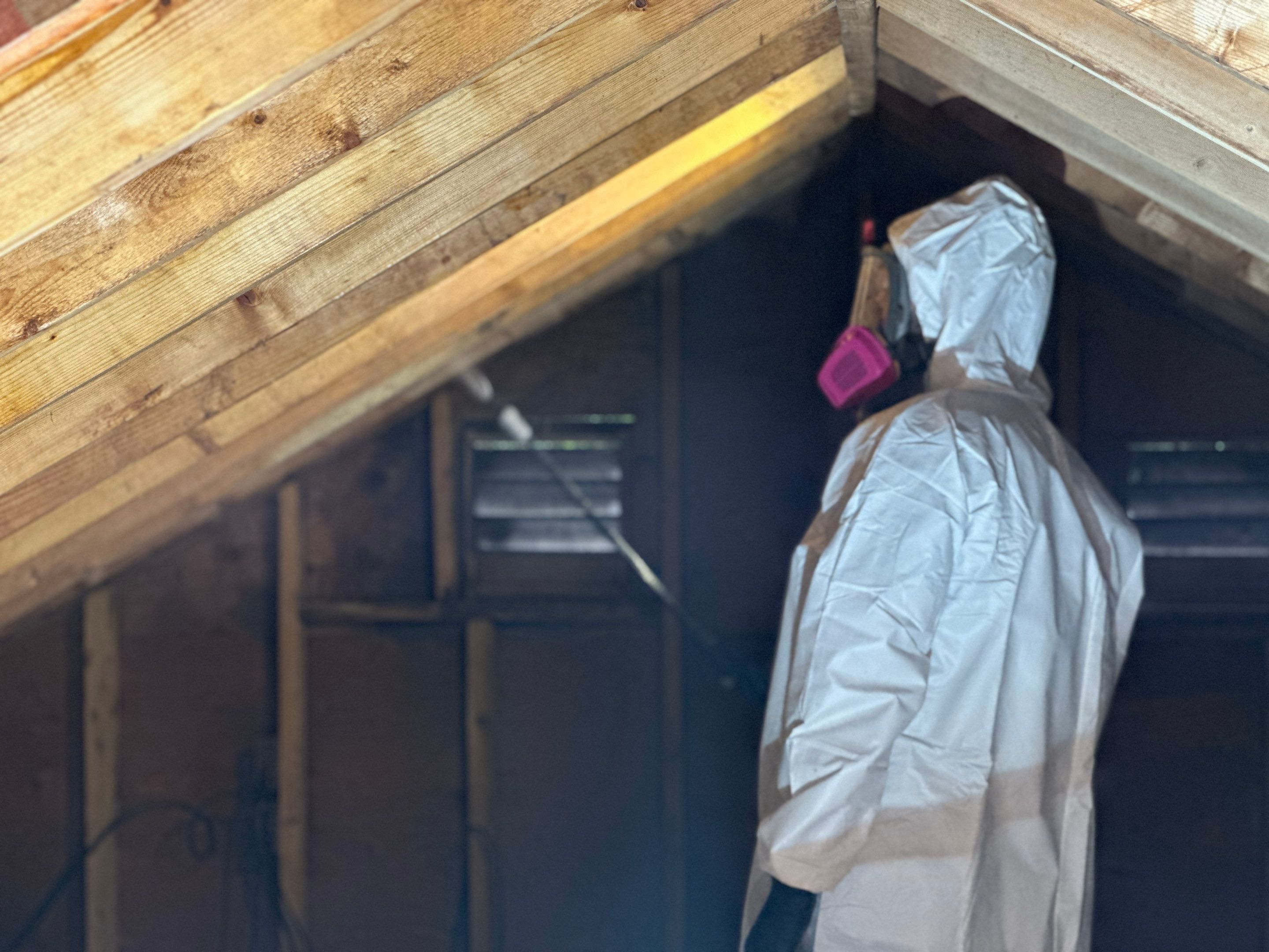 Attic Mold Remediation by Home Guarantee, LLC