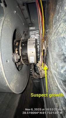 Air Duct and Dryer Vent Cleaning in Clermont