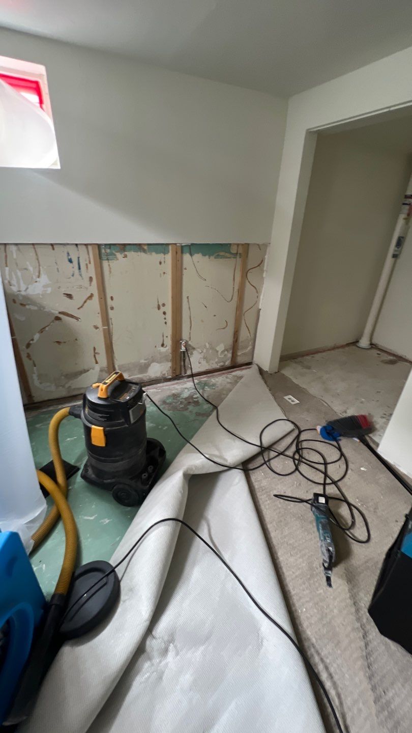 Mold Remediation by Accountable Home Services