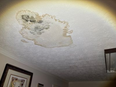 Roof Repair 
