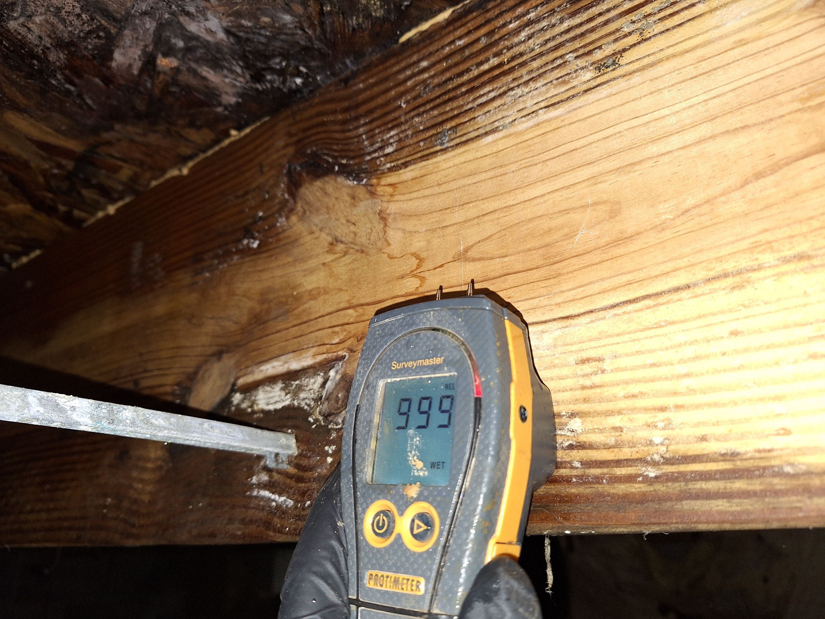 Crawlspace Water Mitigation in Louisville, KY by ANR Restoration